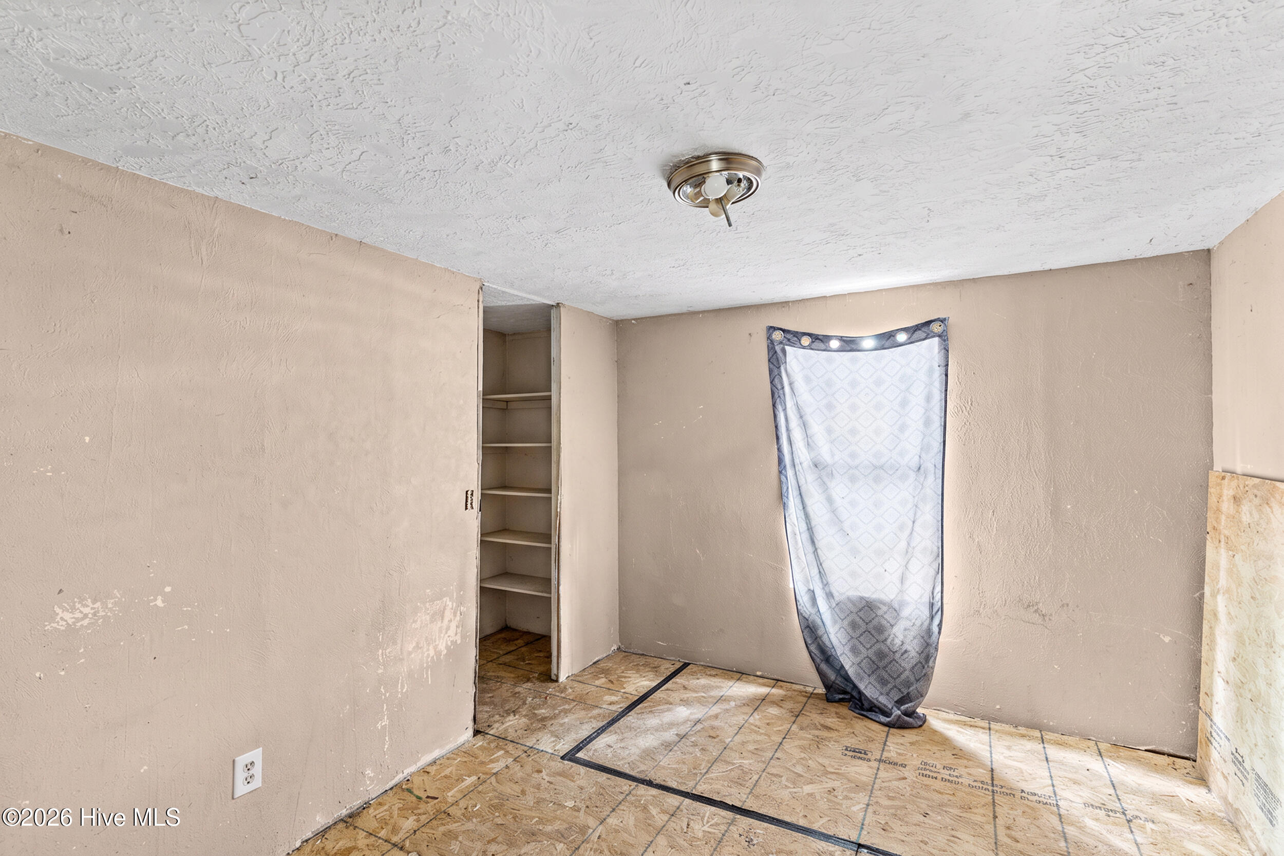 3653 Georgia Highway 88 Property Photo 22