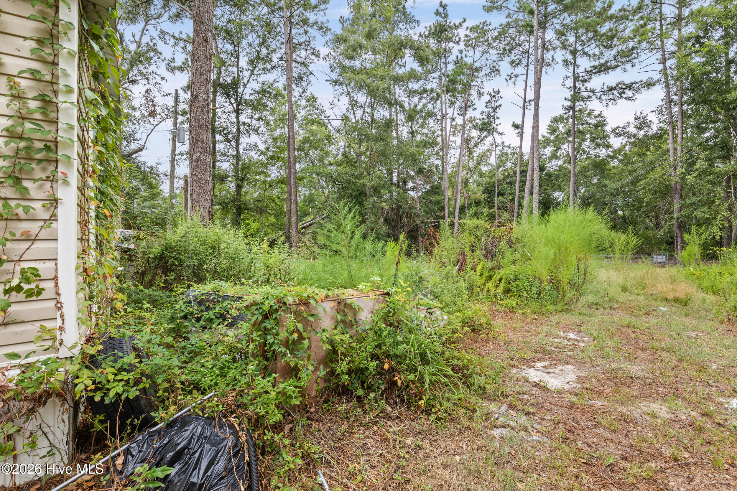3653 Georgia Highway 88 Property Photo 27