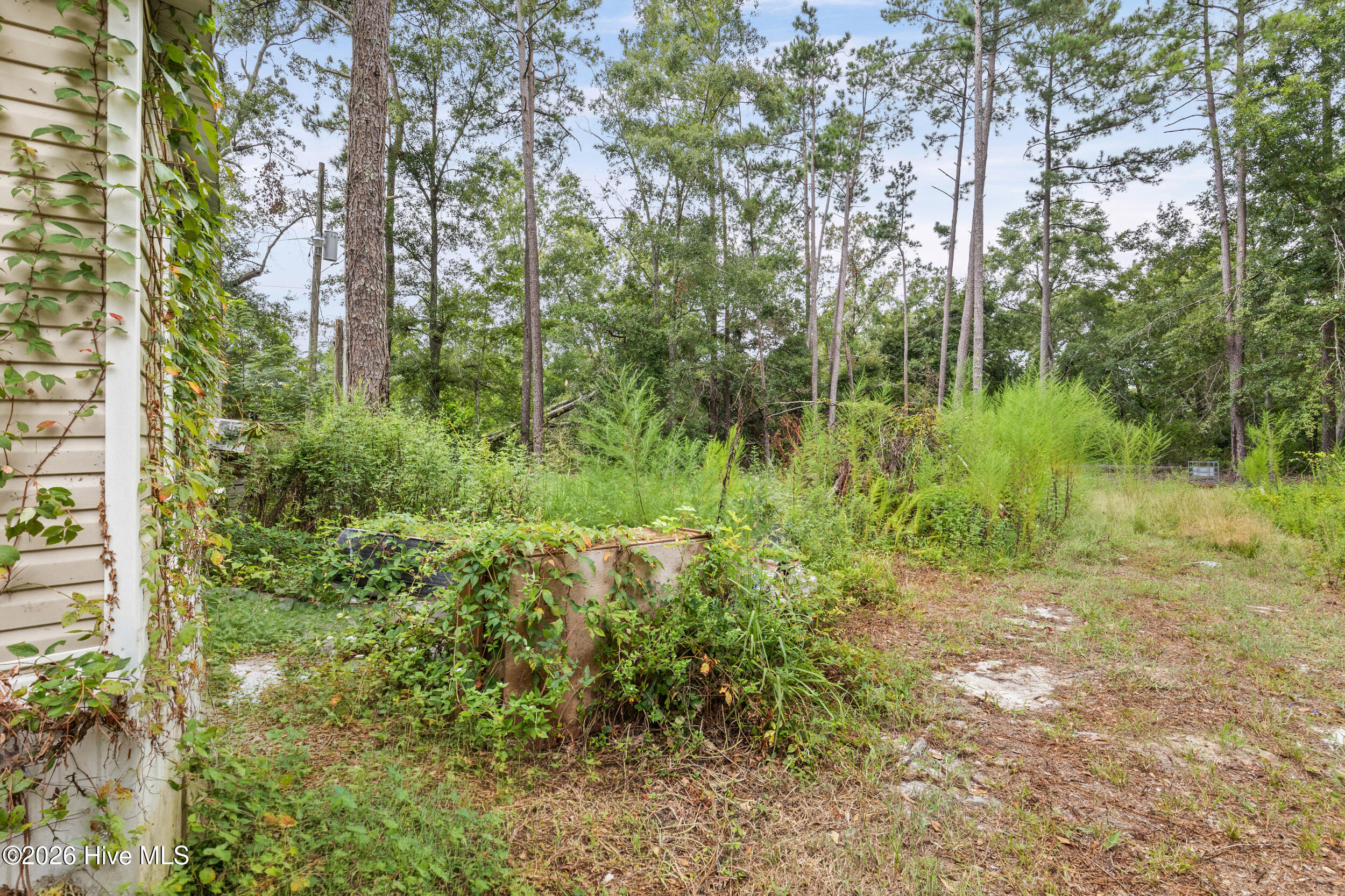 3653 Georgia Highway 88 Property Photo 28