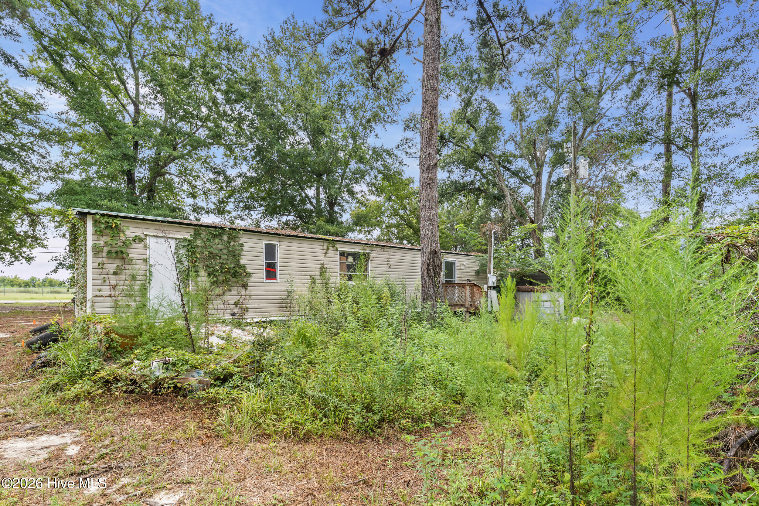 3653 Georgia Highway 88 Property Photo 29
