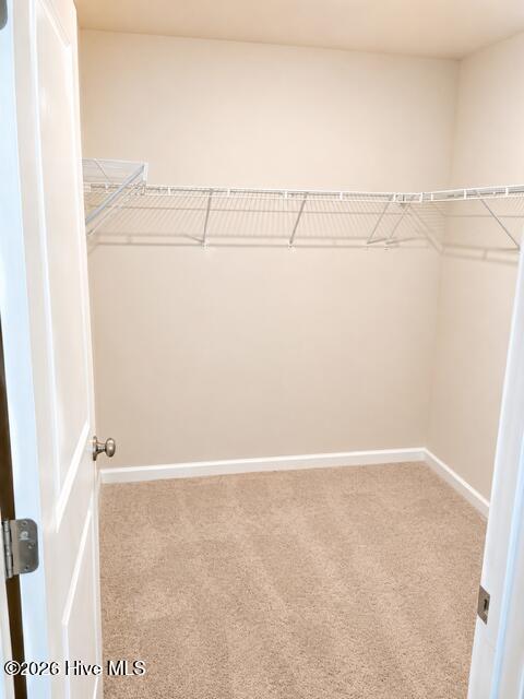 392 Aldergate Drive Property Photo 10