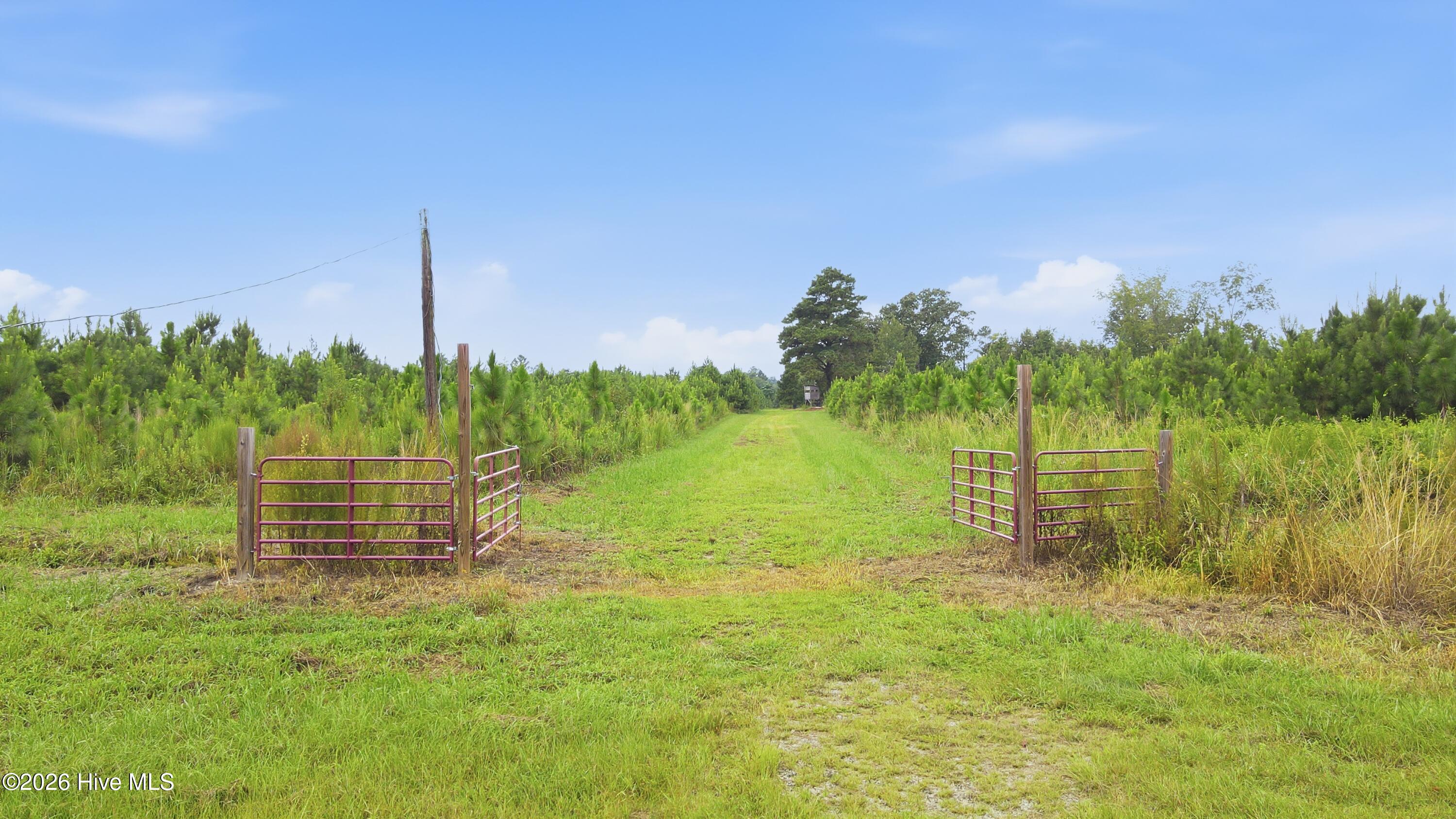 795 Pollard Swamp Road Property Photo 8