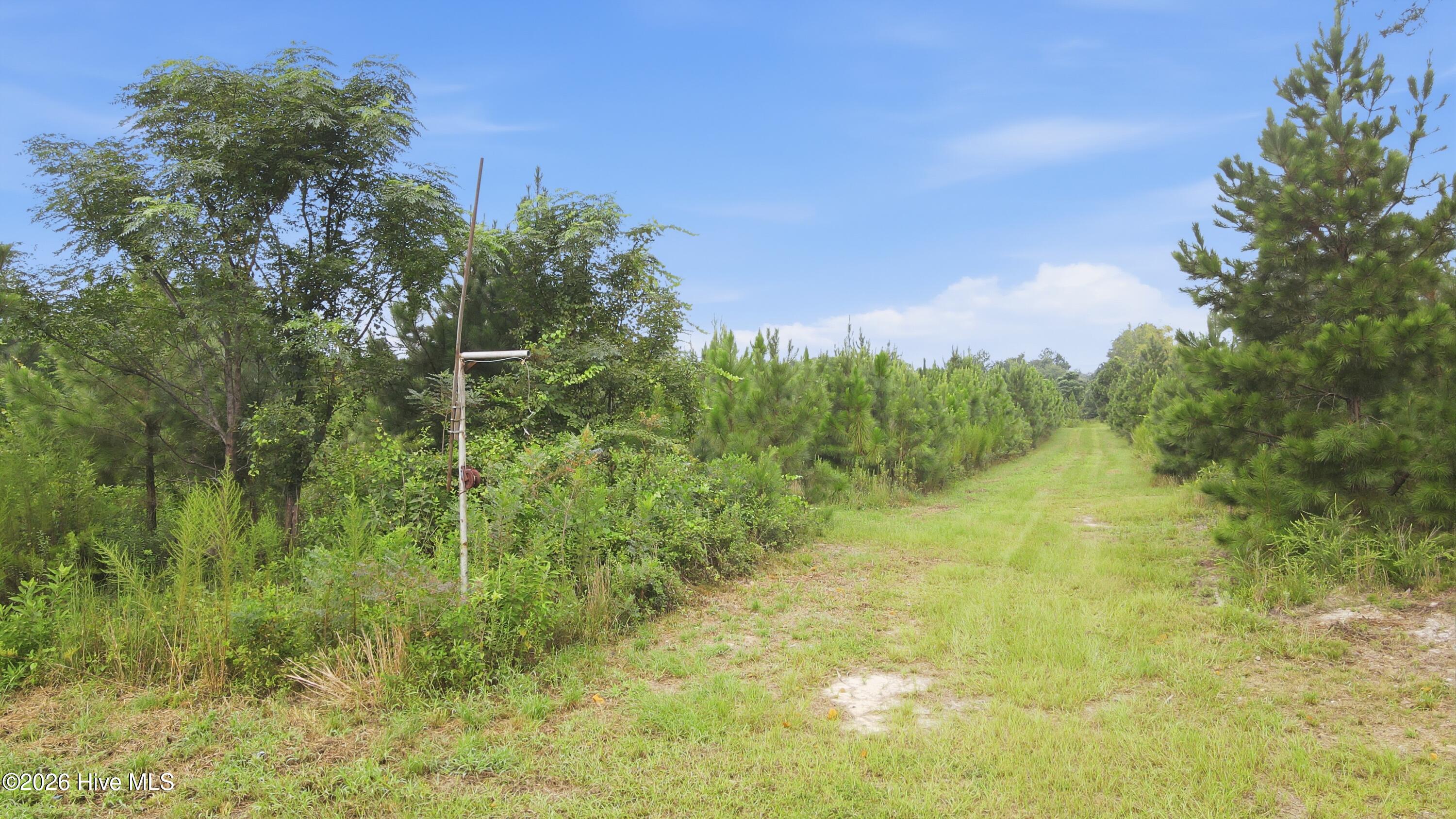 795 Pollard Swamp Road Property Photo 10