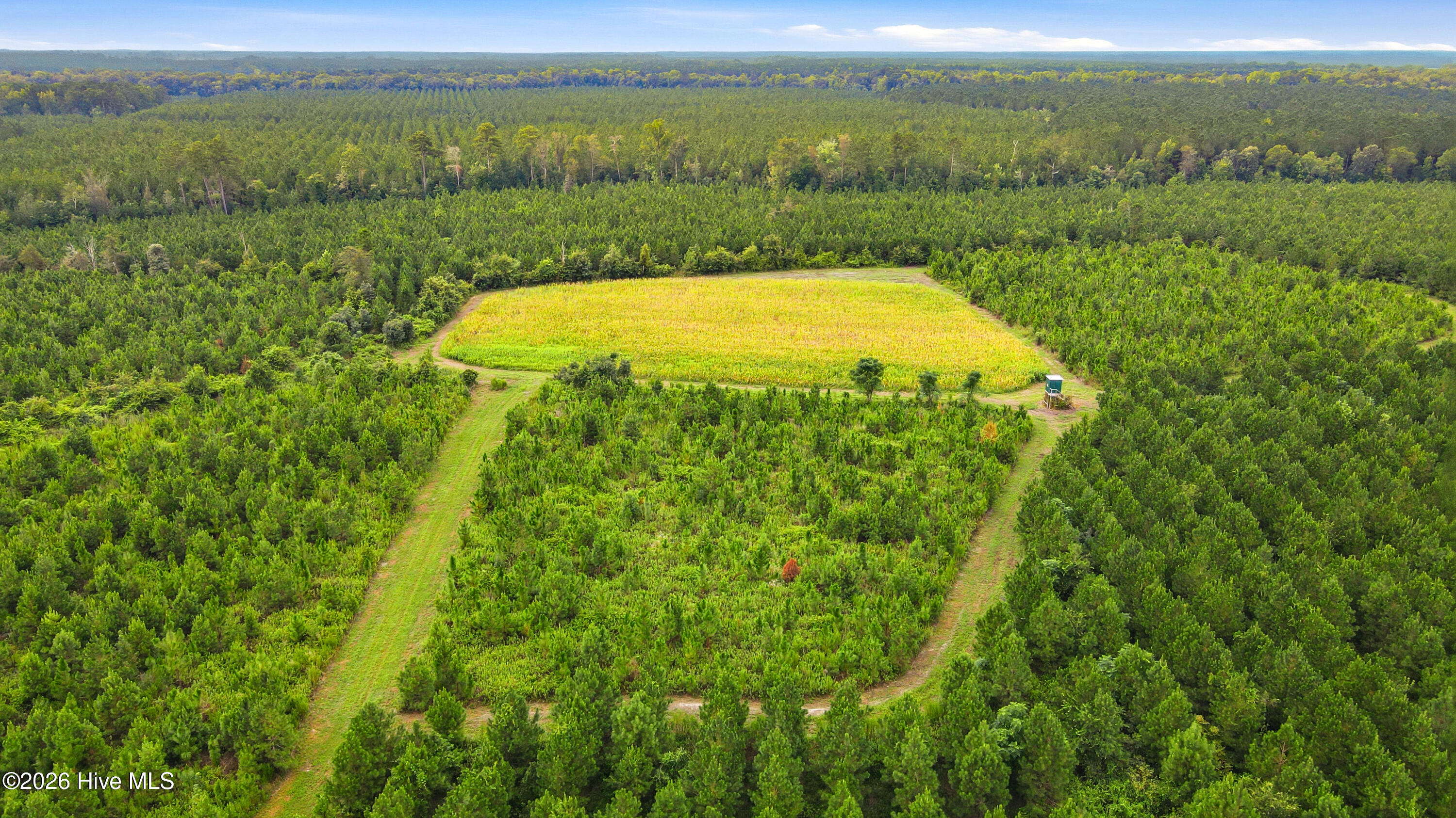 795 Pollard Swamp Road Property Photo 11