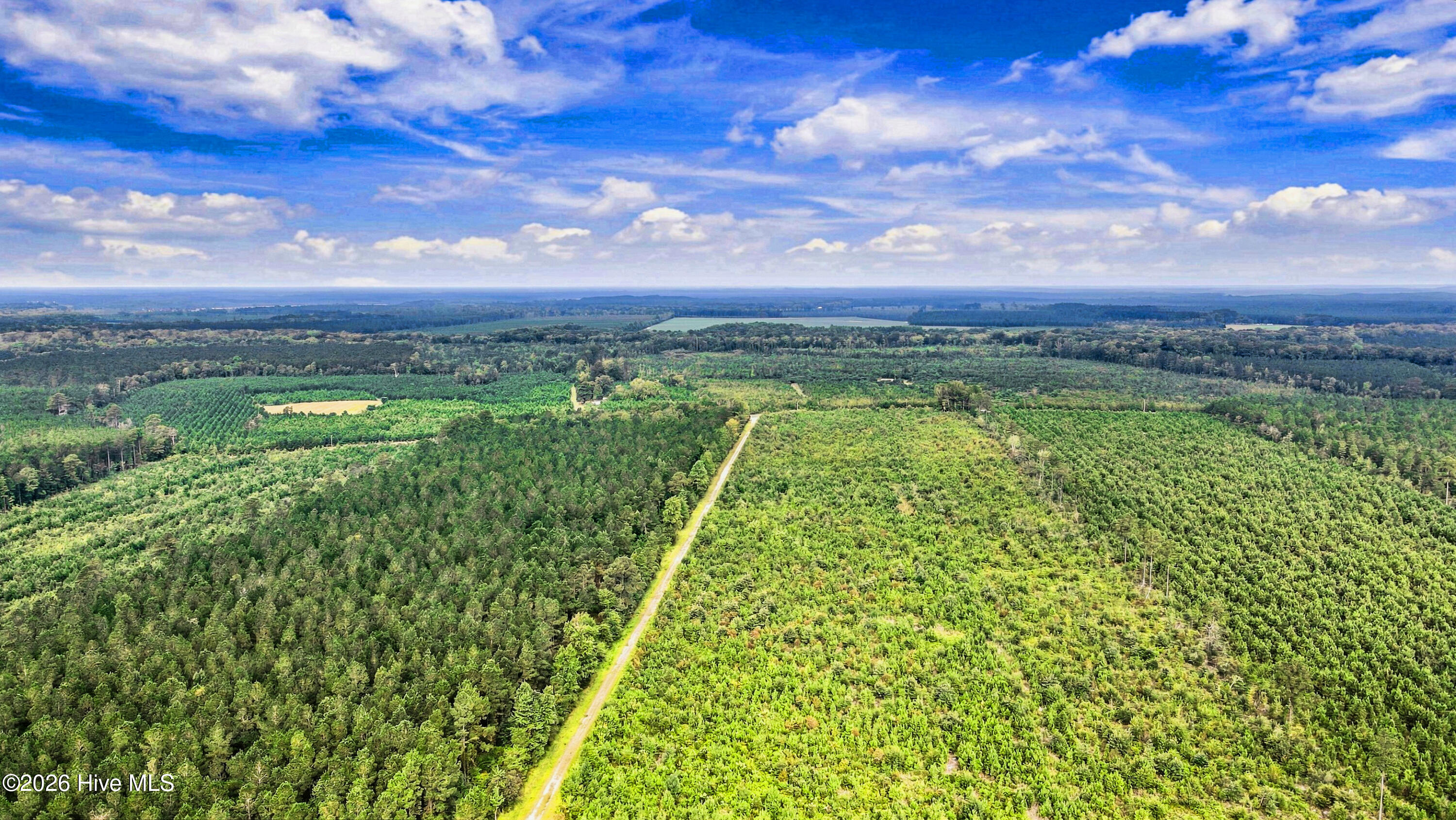 795 Pollard Swamp Road Property Photo 26