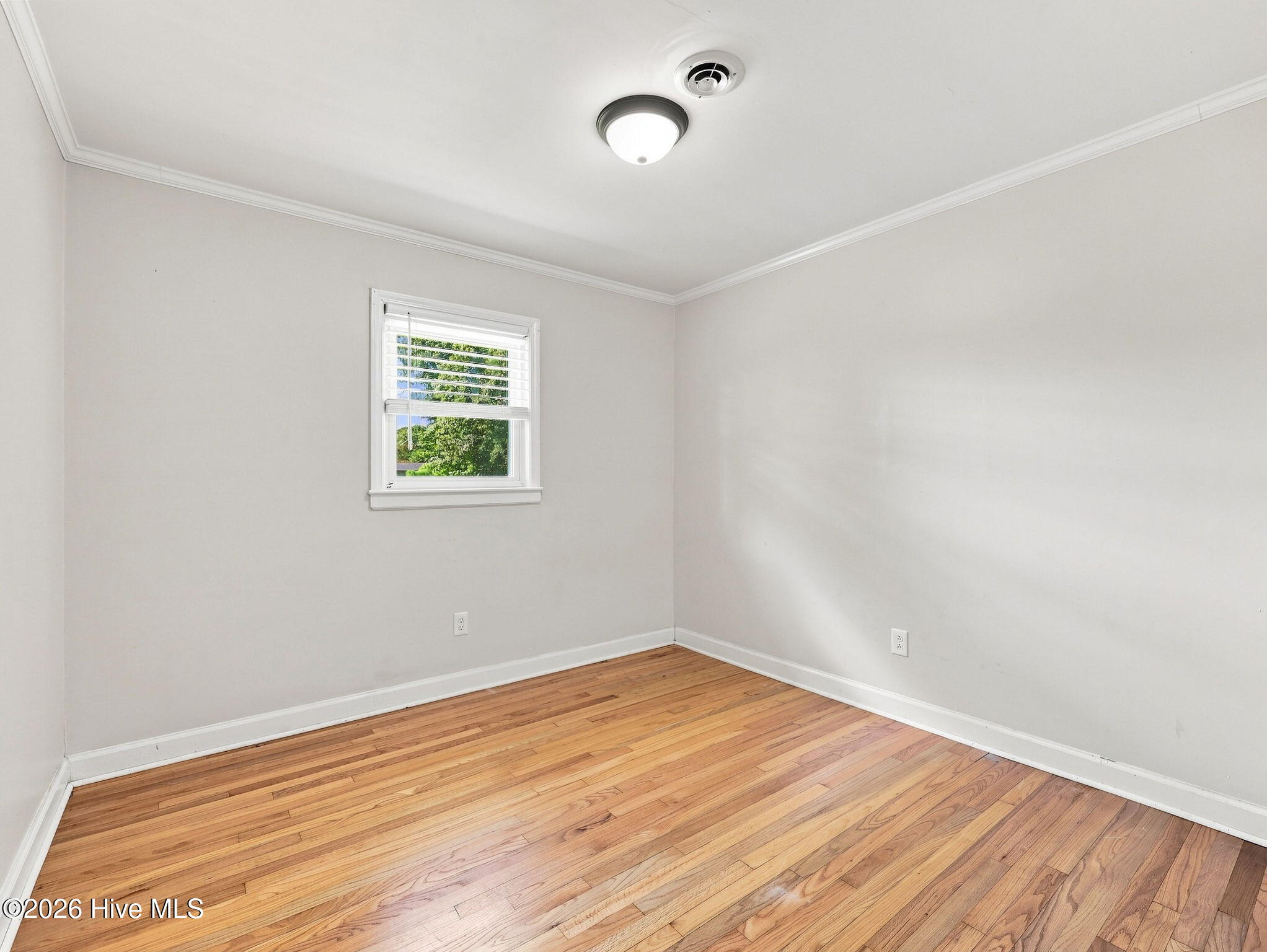 2316 Burgaw Highway Property Photo 24