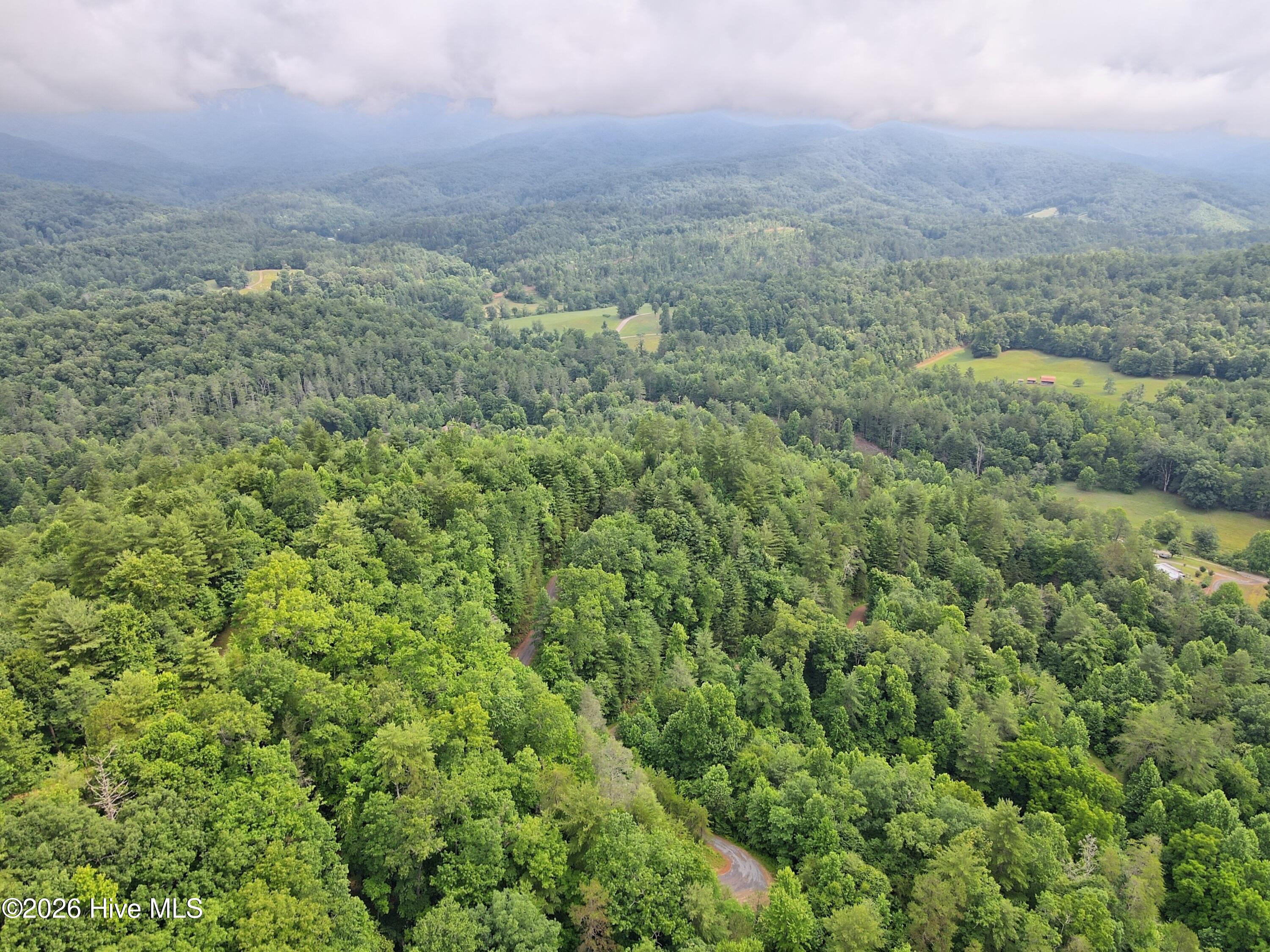 000 Top Horseshoe Ridge Property Photo 3