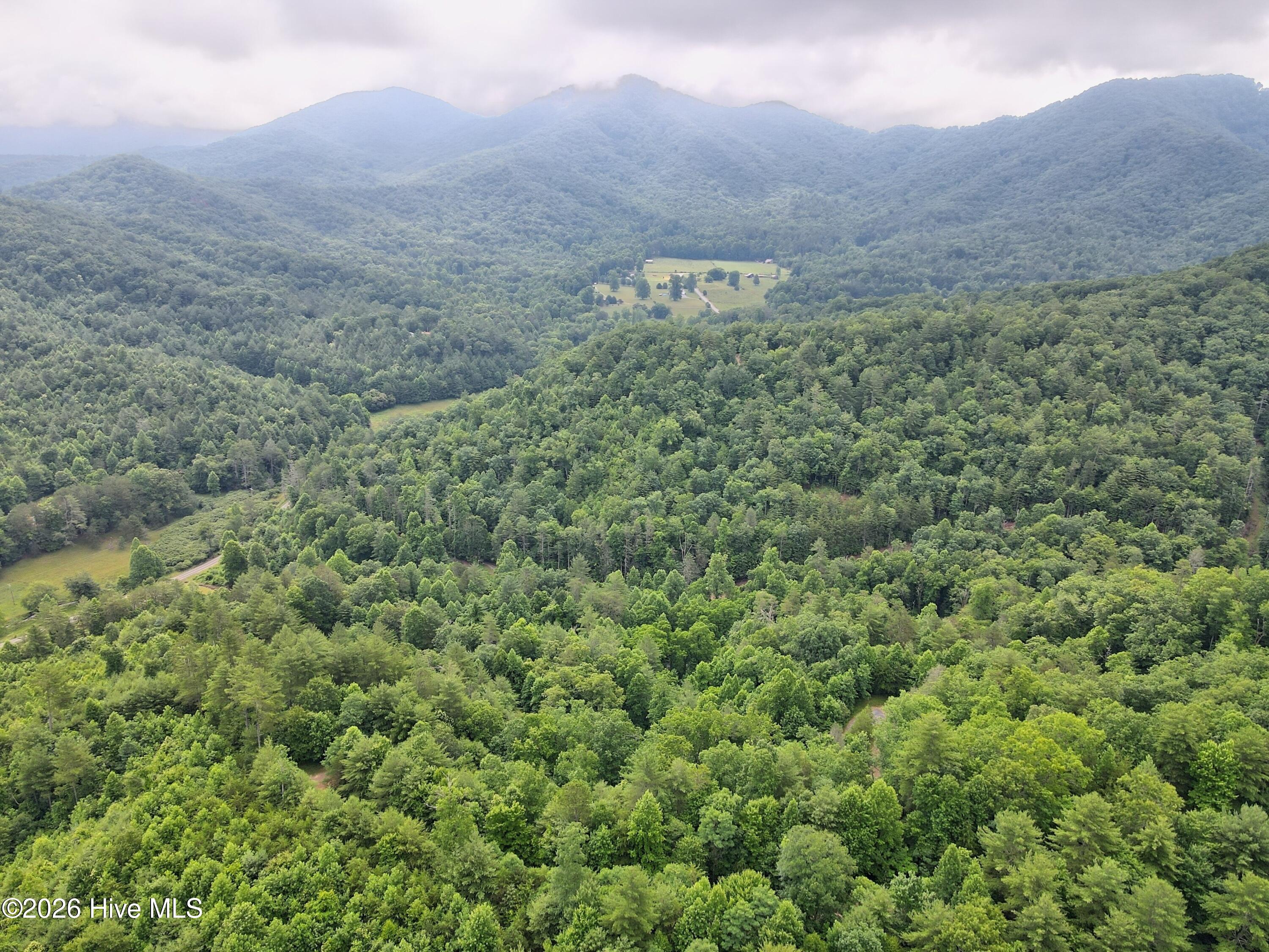 000 Top Horseshoe Ridge Property Photo 4