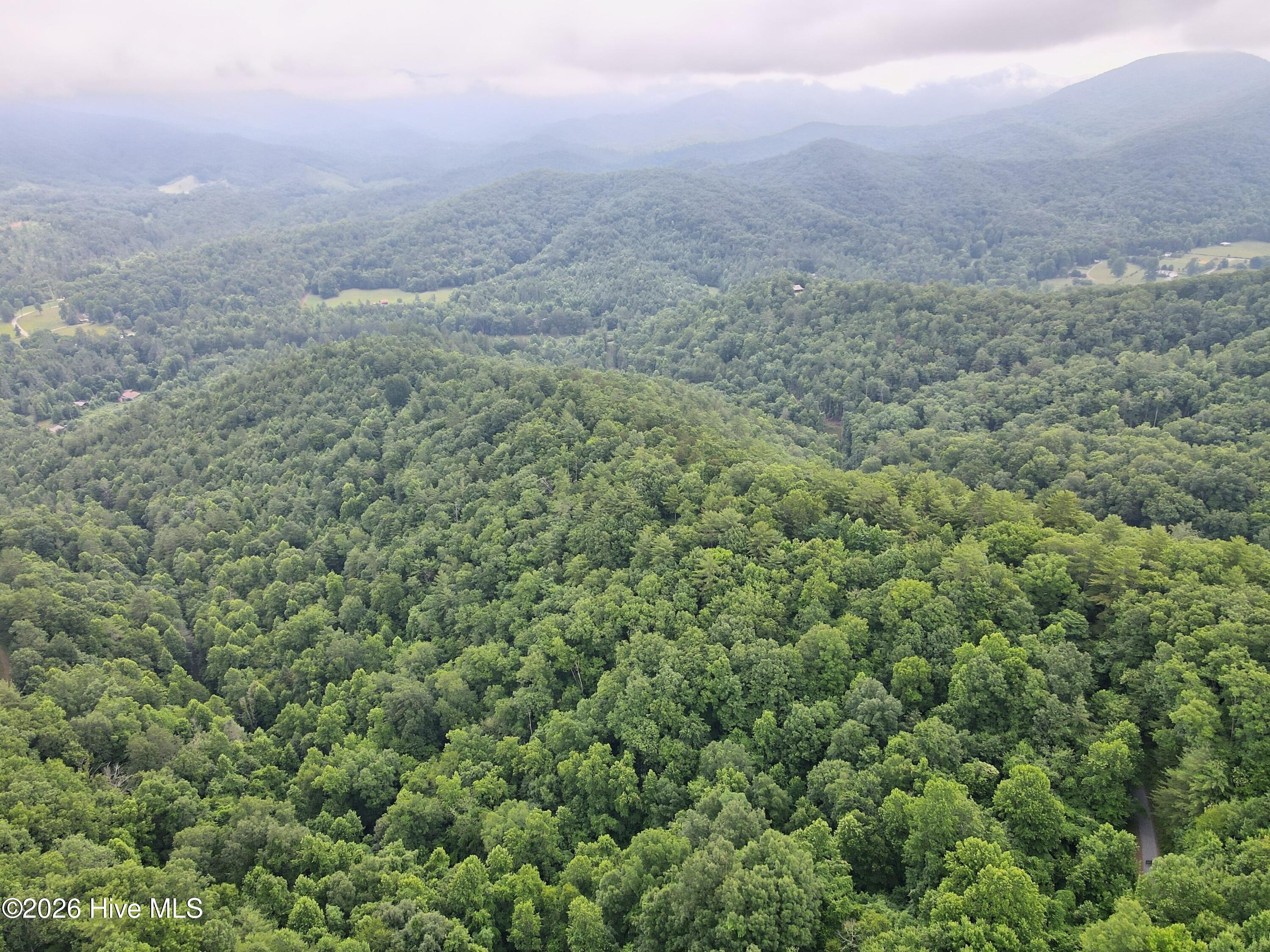 000 Top Horseshoe Ridge Property Photo 5