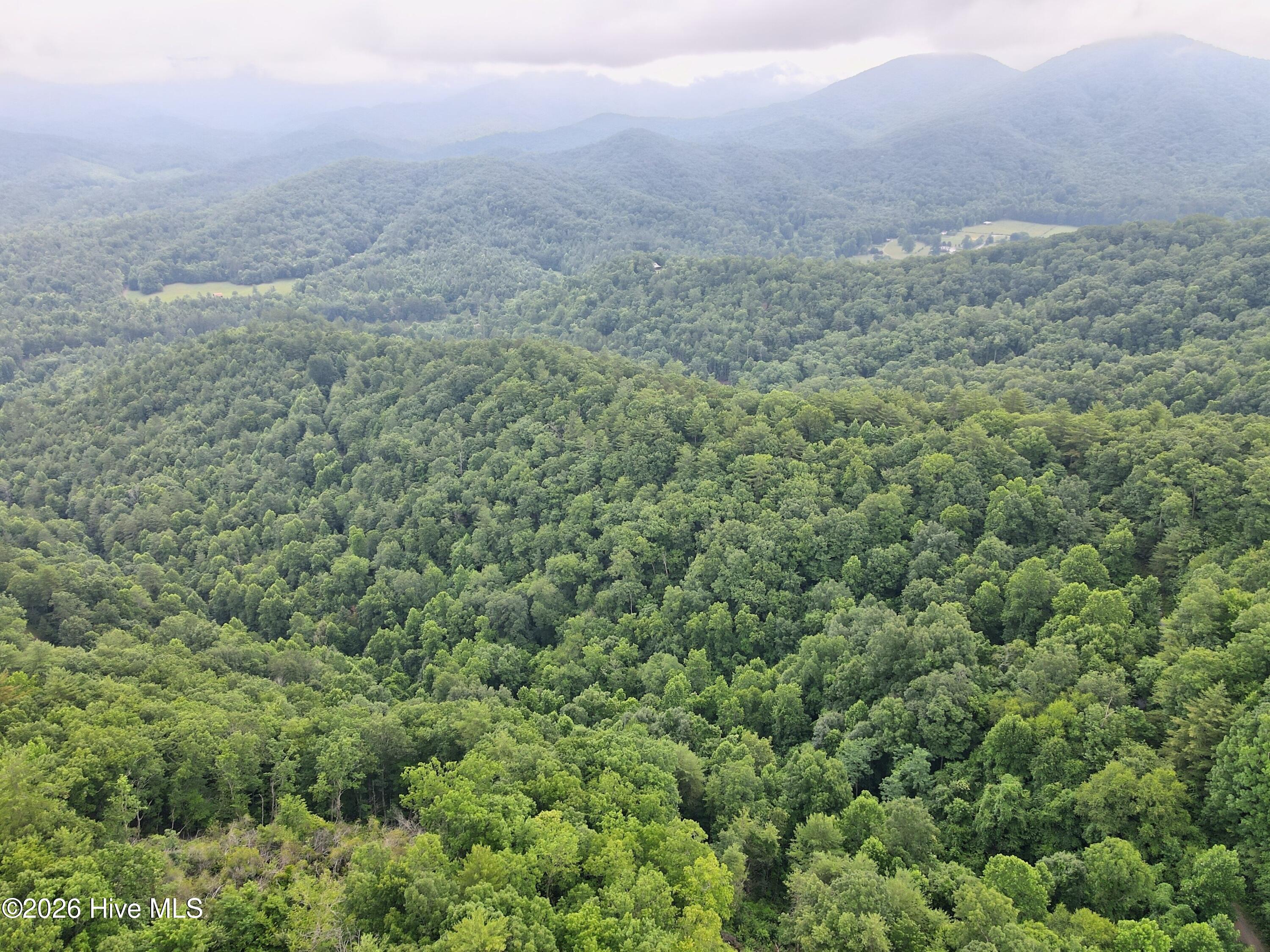 000 Top Horseshoe Ridge Property Photo 6