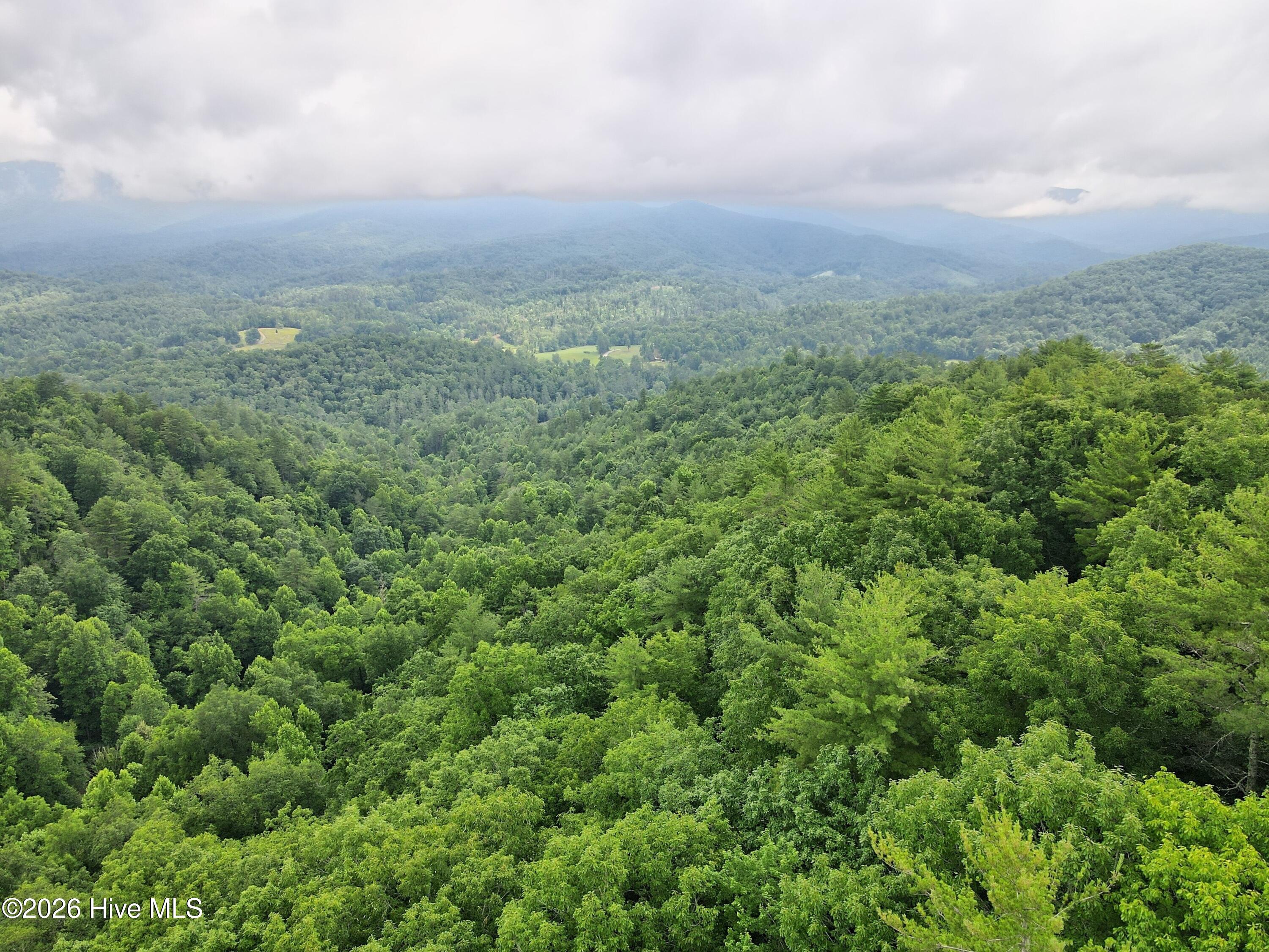 000 Top Horseshoe Ridge Property Photo 7