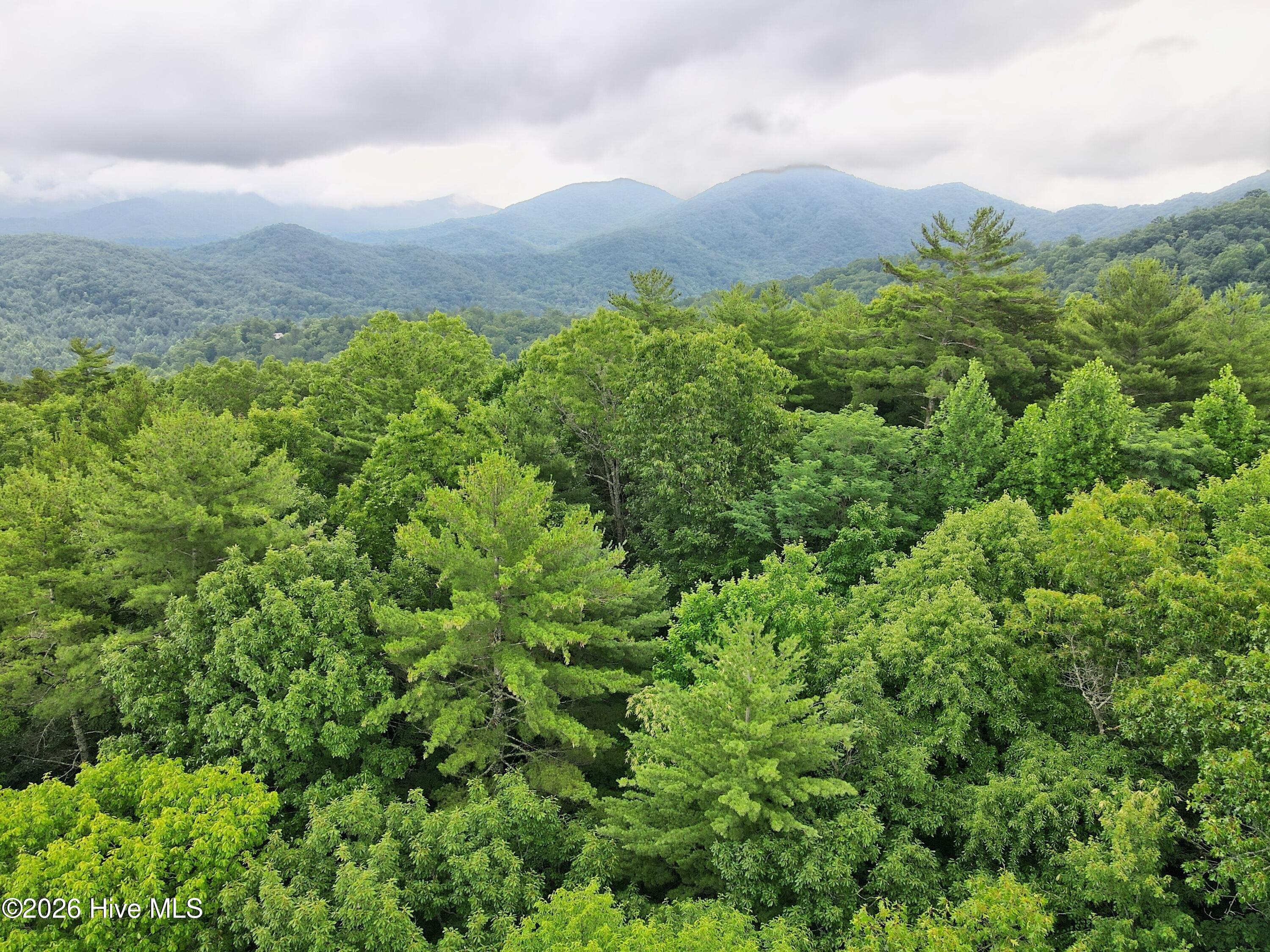 000 Top Horseshoe Ridge Property Photo 8