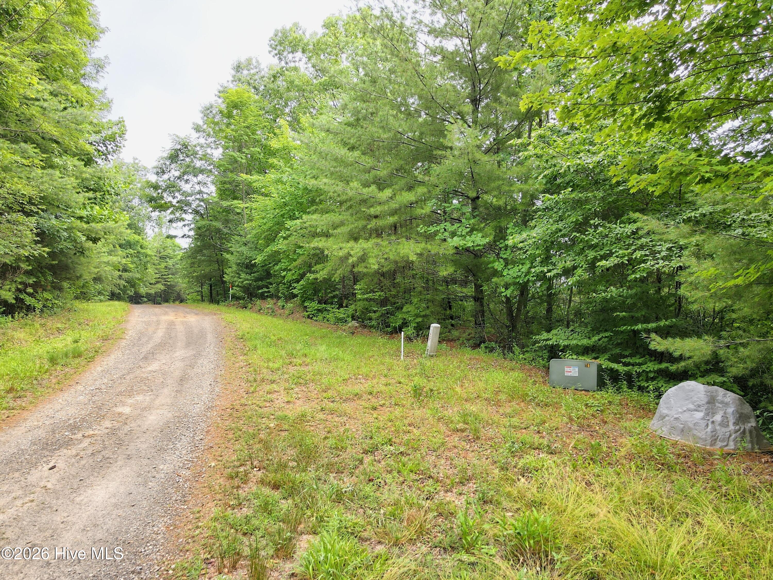 000 Top Horseshoe Ridge Property Photo 9