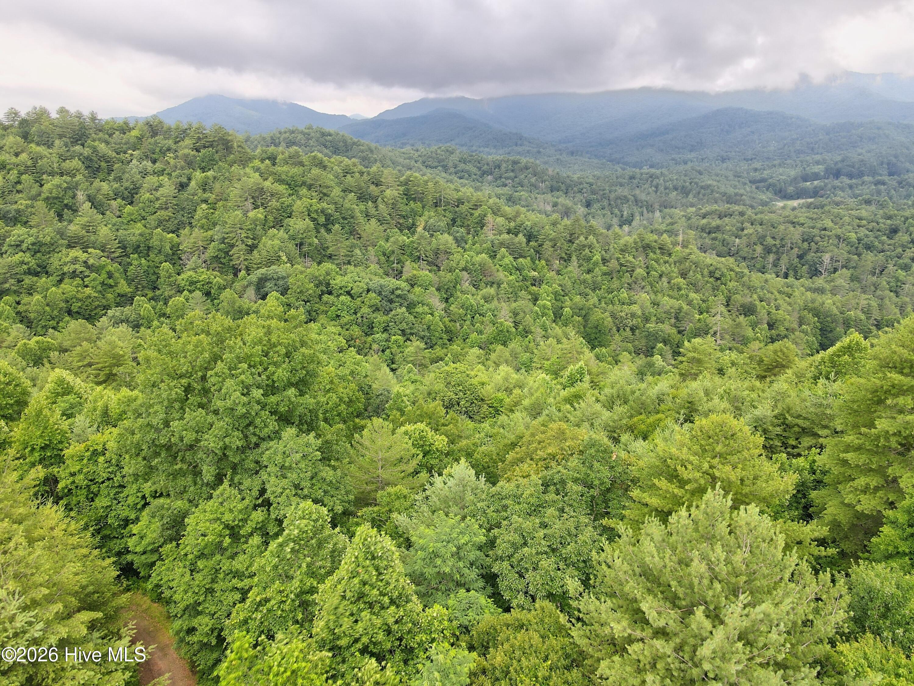 000 Top Horseshoe Ridge Property Photo 10
