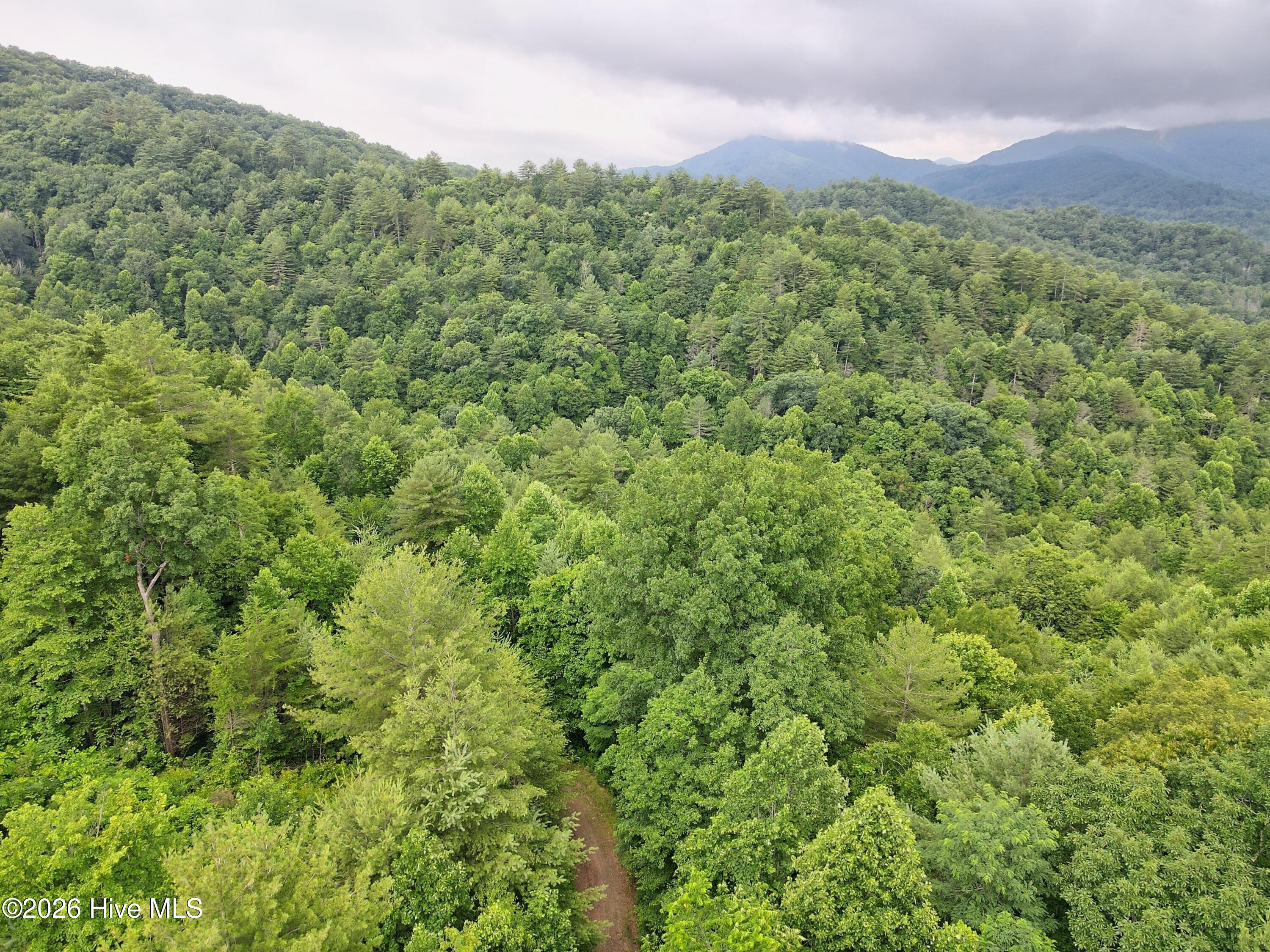 000 Top Horseshoe Ridge Property Photo 11