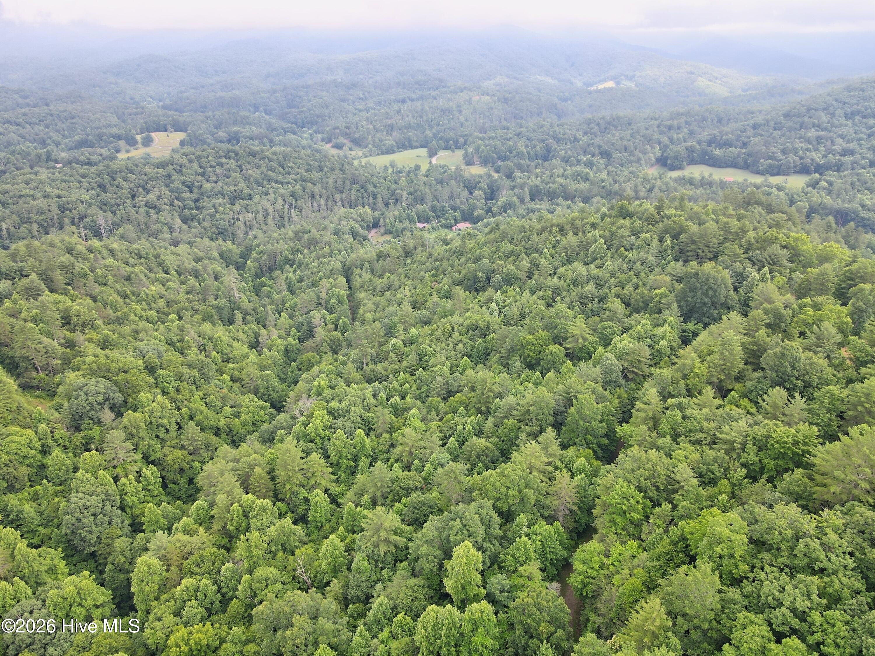 000 Top Horseshoe Ridge Property Photo 12
