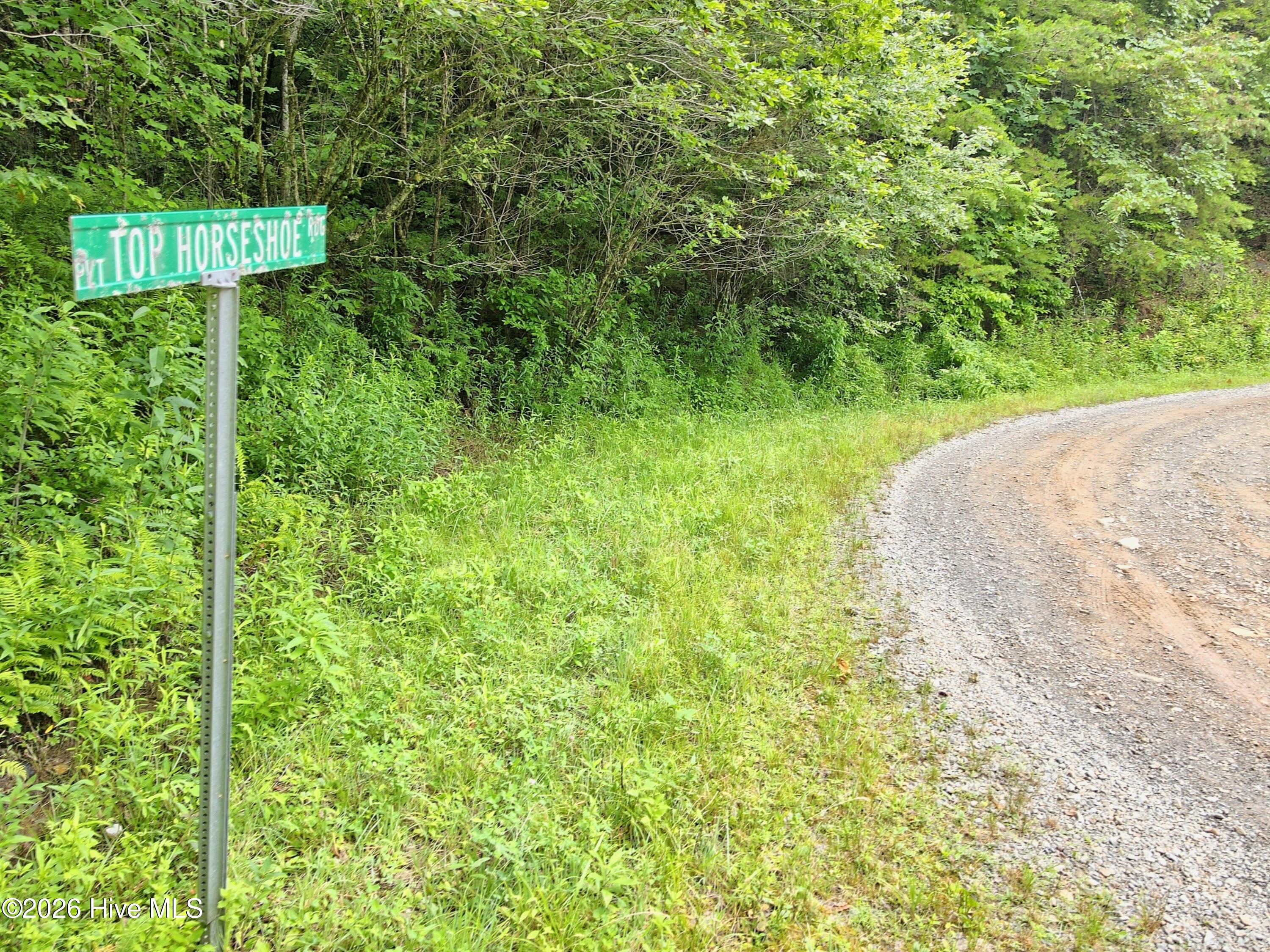 000 Top Horseshoe Ridge Property Photo 13