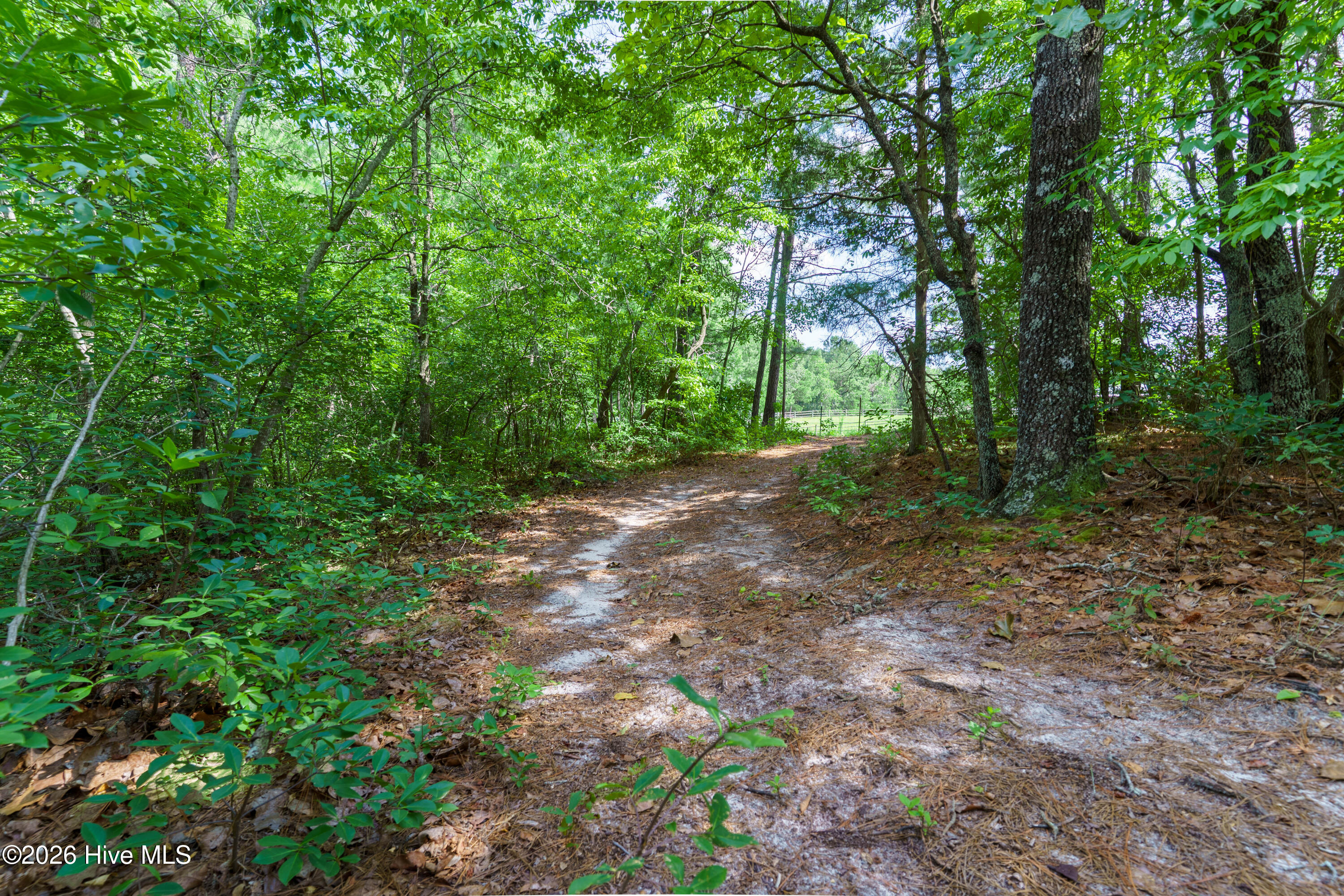 160 Calebs Run Property Photo 68