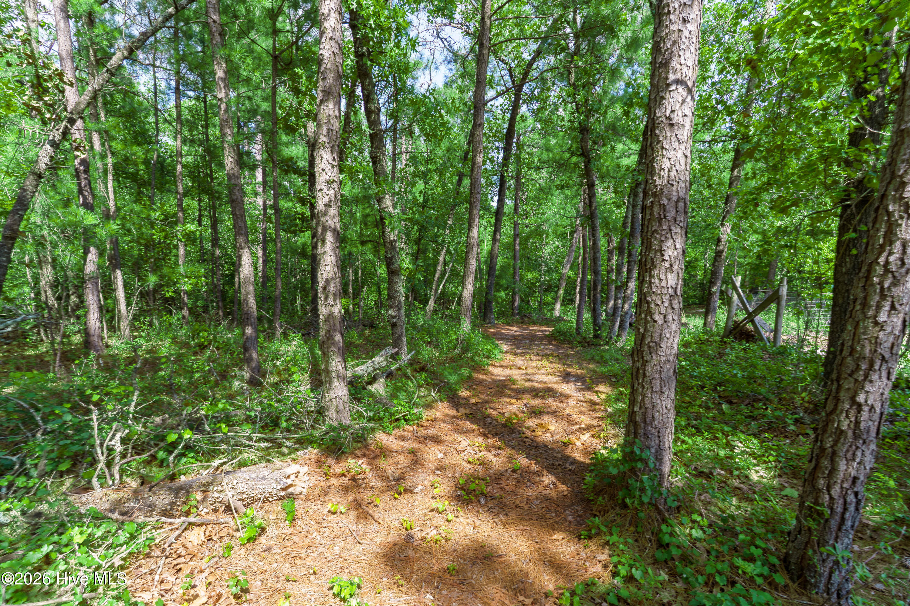 160 Calebs Run Property Photo 69
