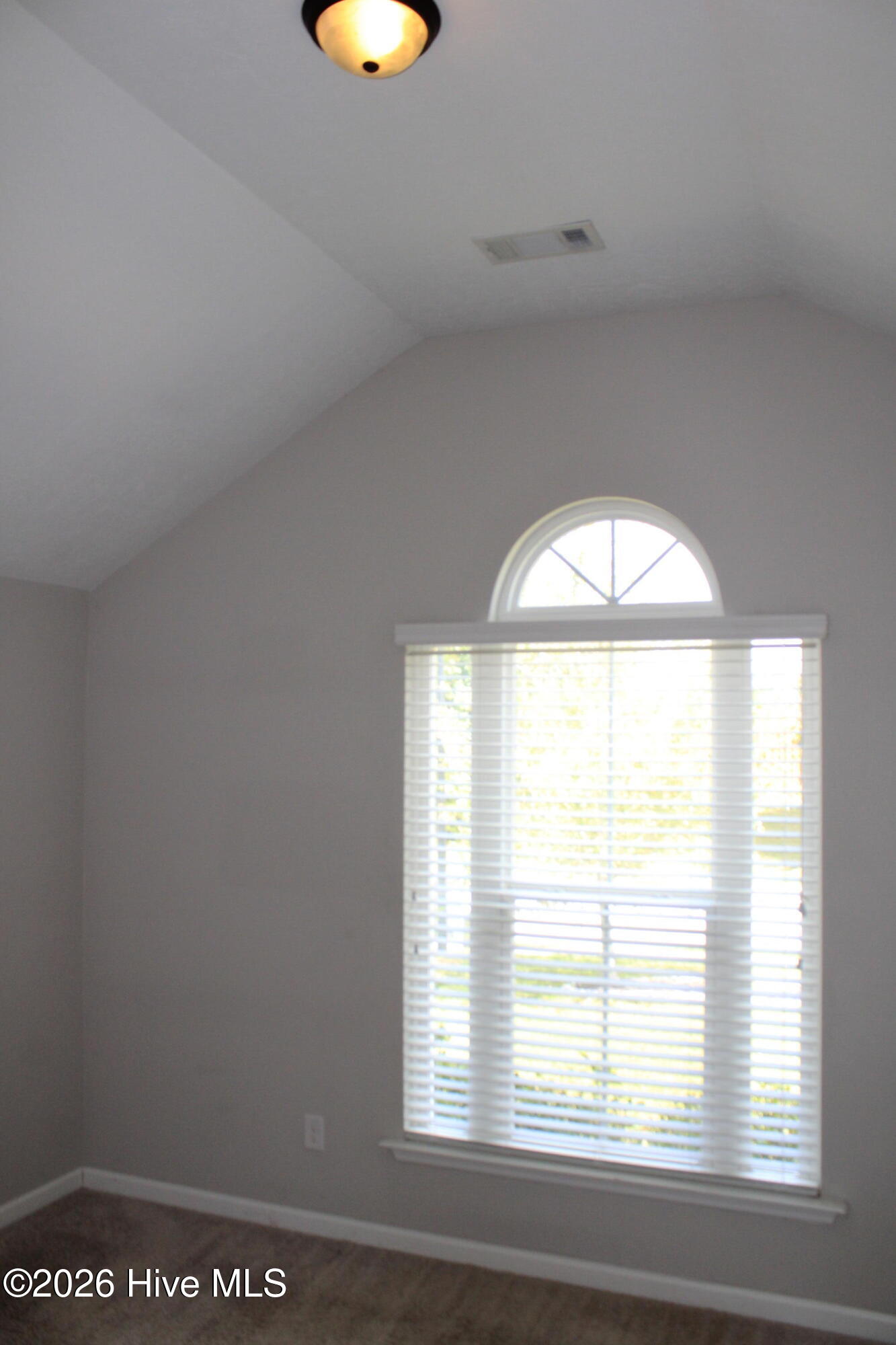 7105 Summerton Drive Property Photo 6
