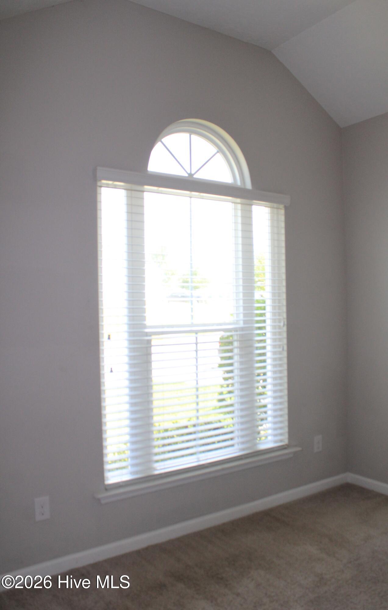 7105 Summerton Drive Property Photo 10
