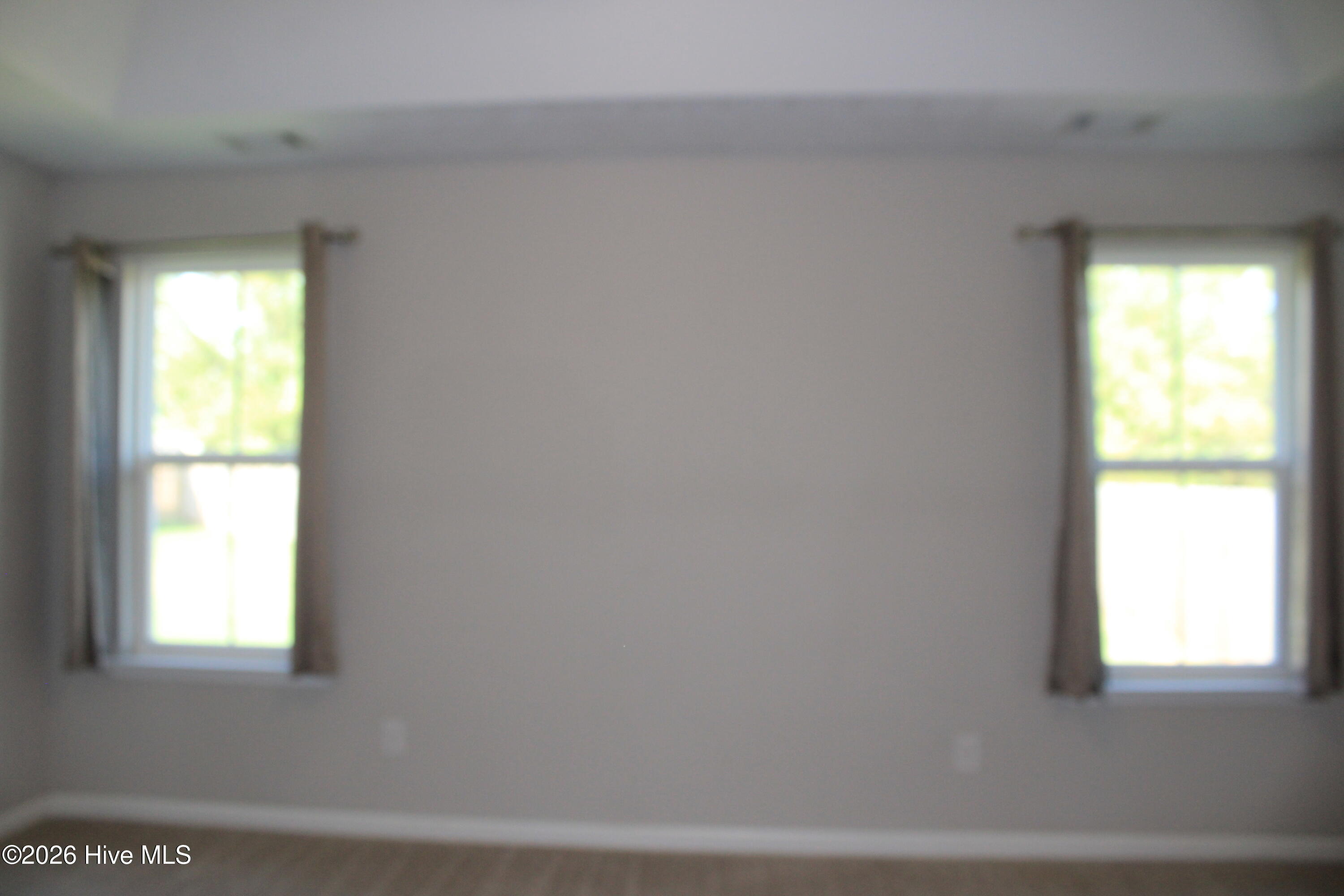 7105 Summerton Drive Property Photo 33