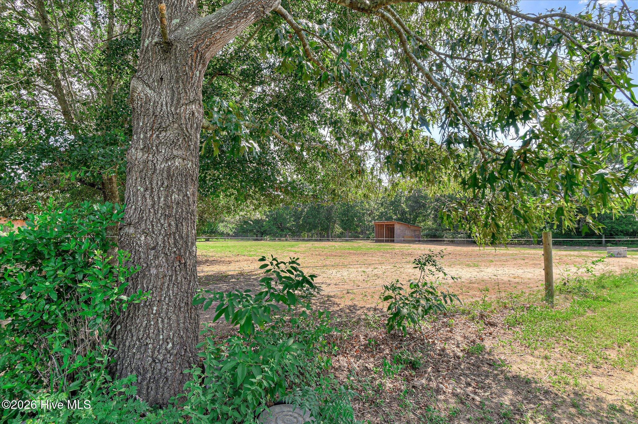 1227 County Line Road Property Photo 45