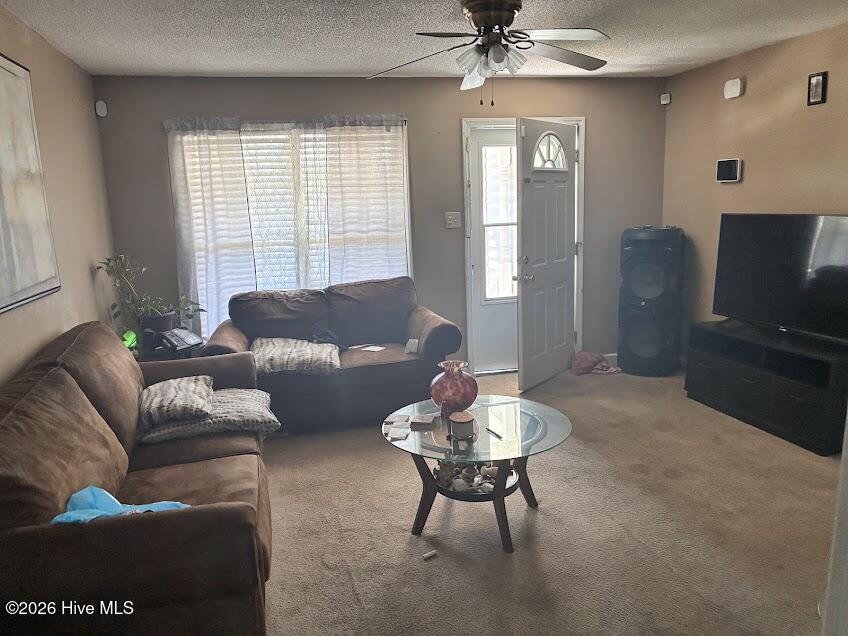 206 Polly Drive Property Photo 3