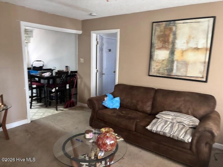 206 Polly Drive Property Photo 9