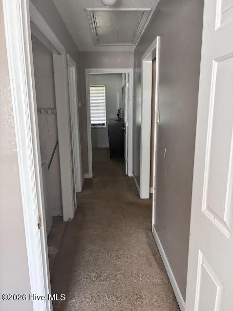 206 Polly Drive Property Photo 16