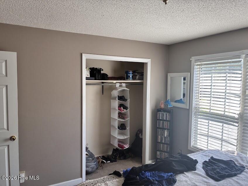 206 Polly Drive Property Photo 17