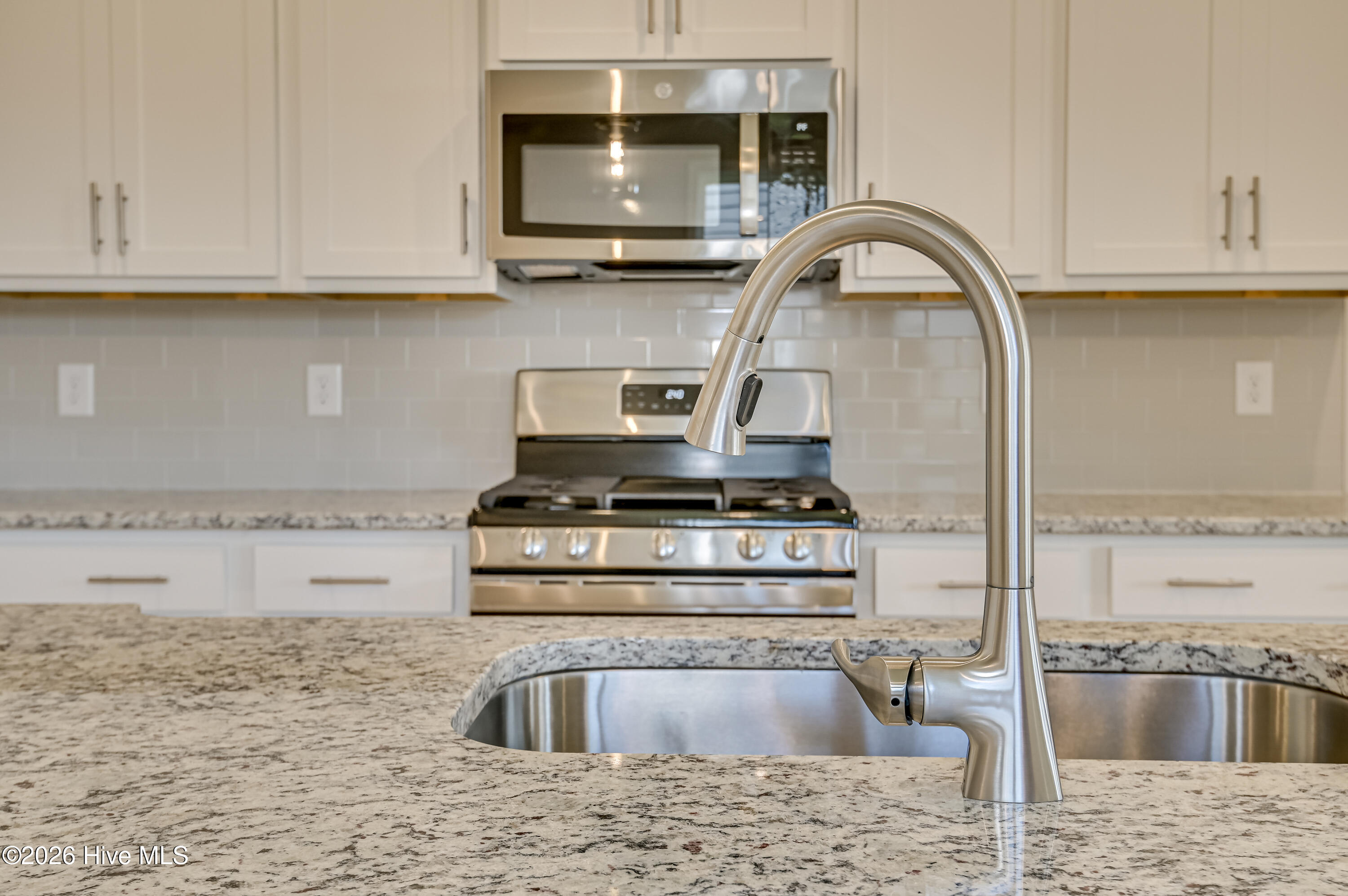 1017 American Egret Way Property Photo 8