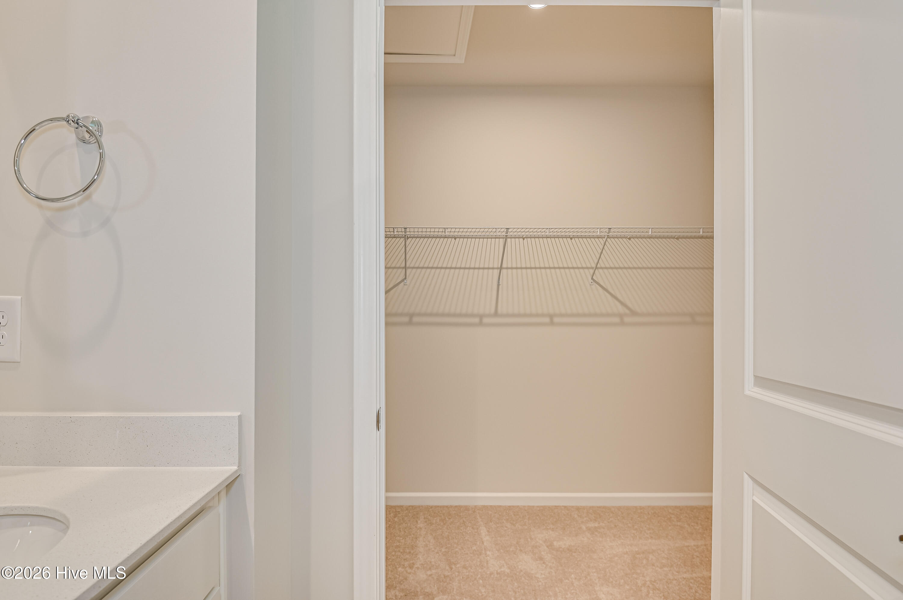1017 American Egret Way Property Photo 20