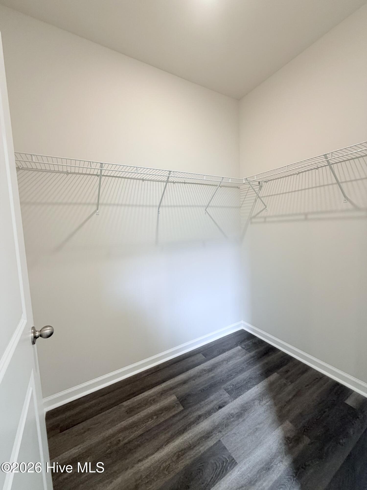 323 Ridley Street Property Photo 16