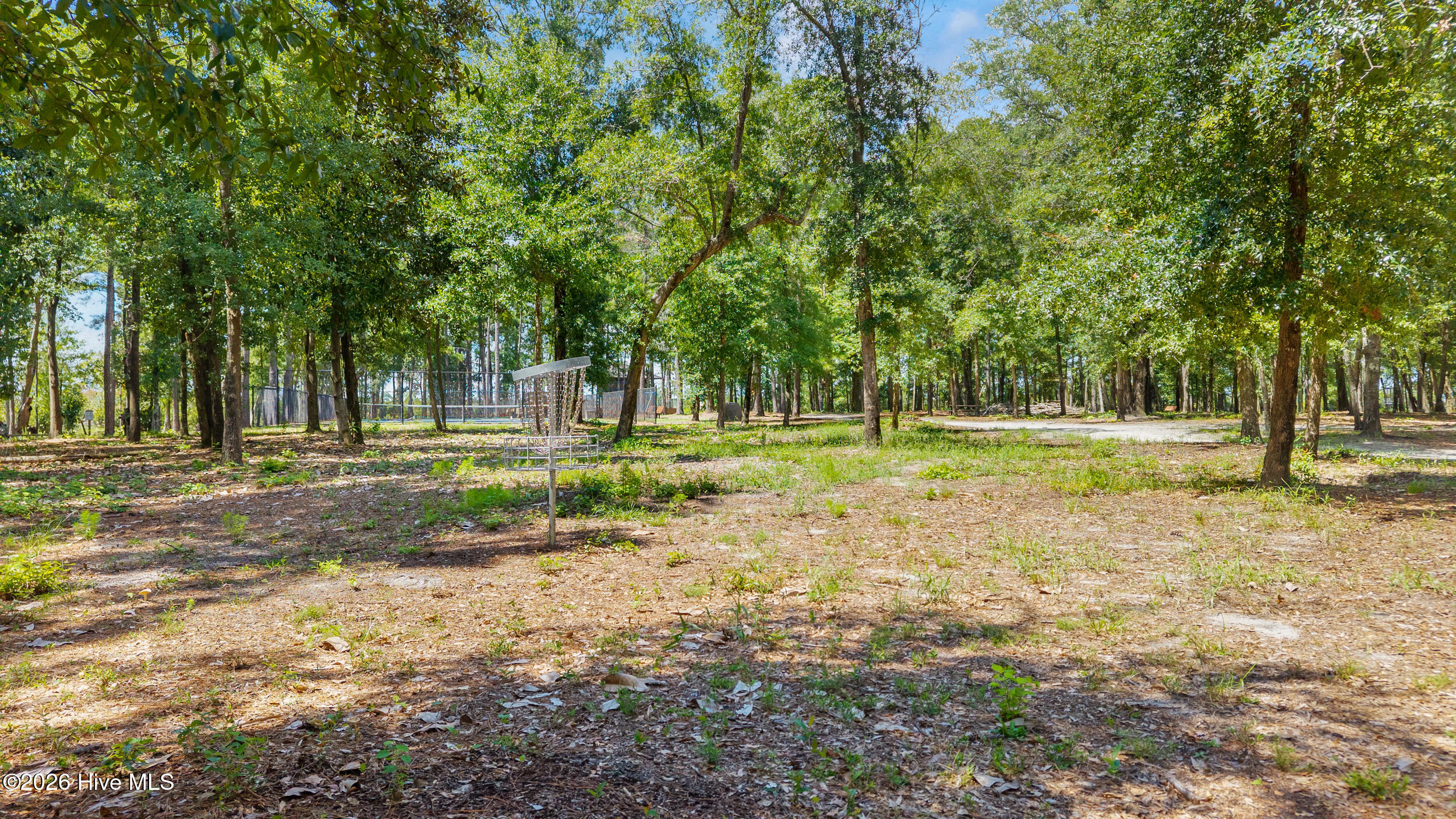 321 Preservation Point Avenue Property Photo 64