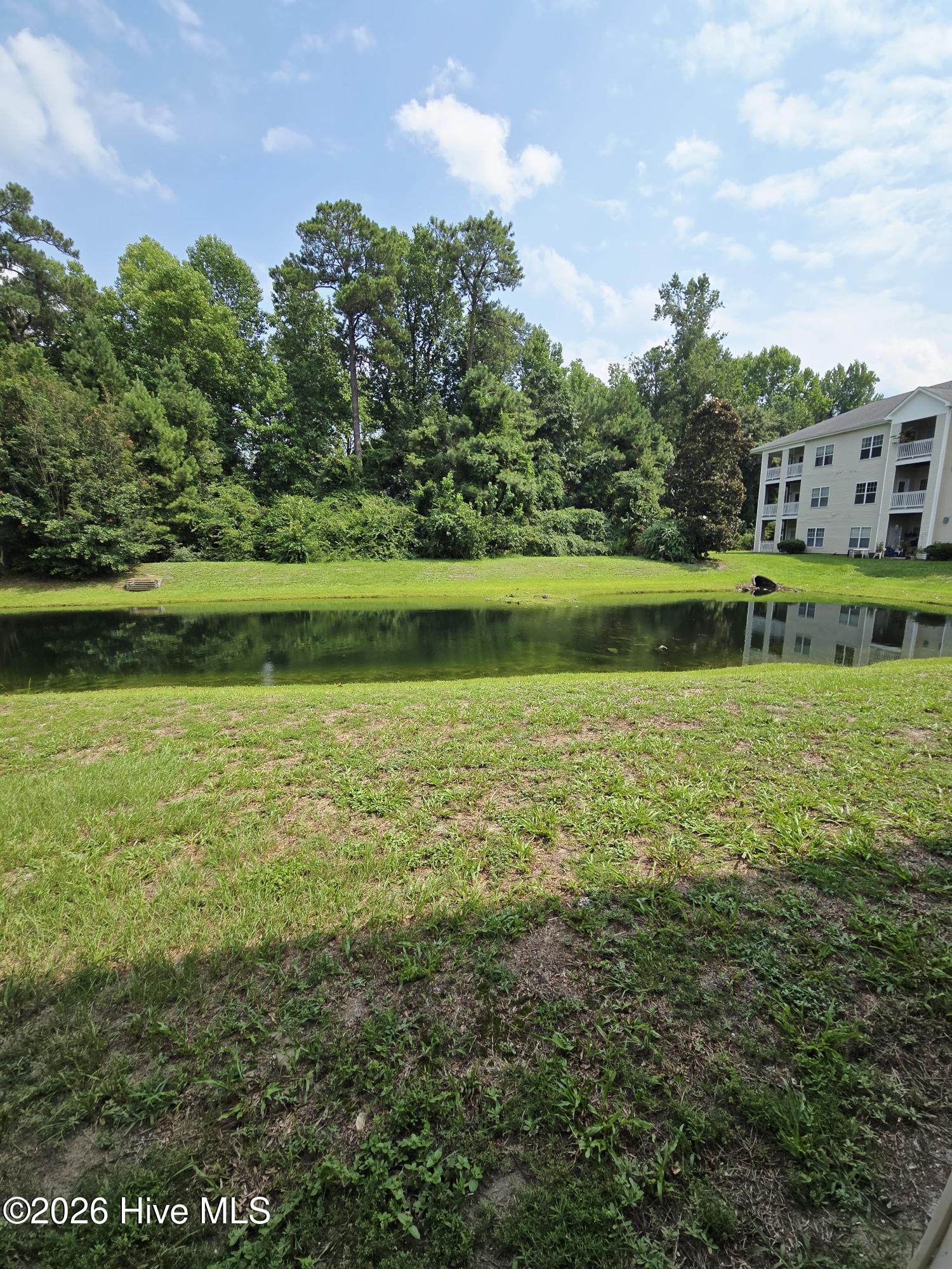4521 Sagedale Drive Unit 101 Property Photo 19