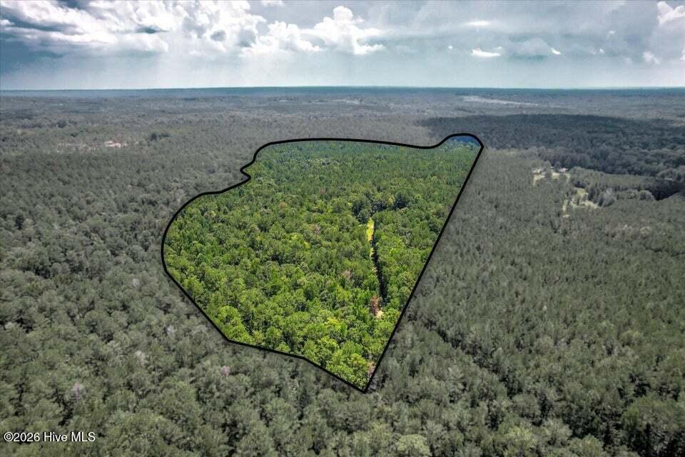 157 Promised Land Road Property Photo 8