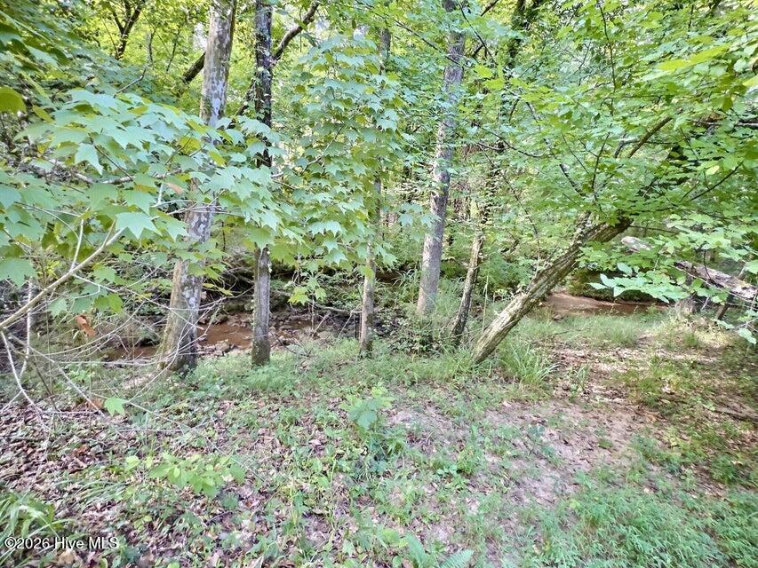 157 Promised Land Road Property Photo 15