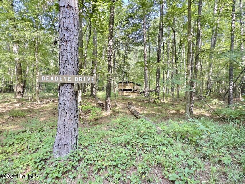 157 Promised Land Road Property Photo 16
