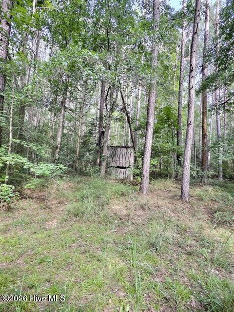 157 Promised Land Road Property Photo 17