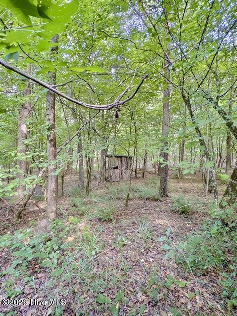 157 Promised Land Road Property Photo 18