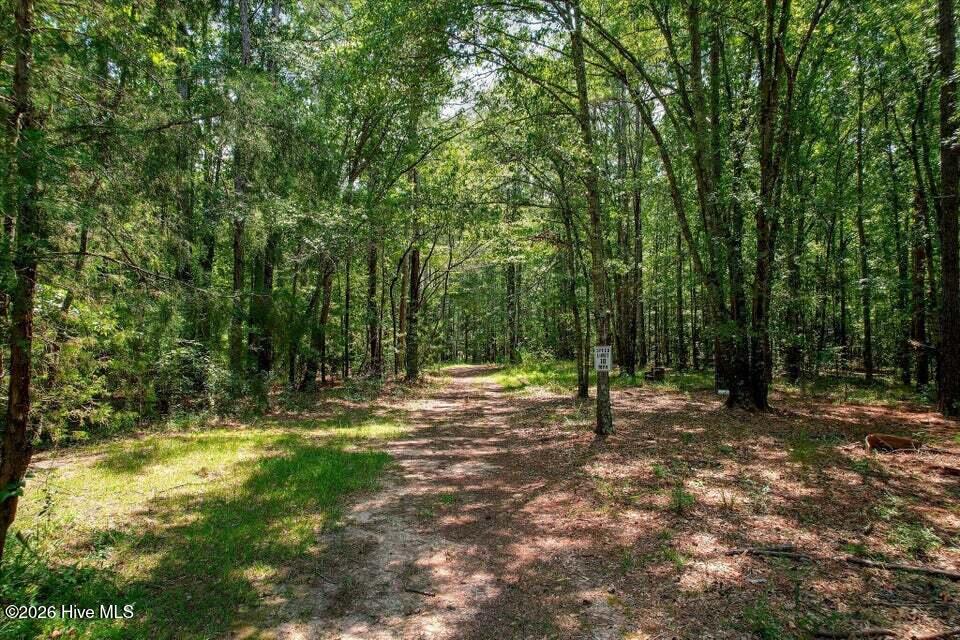 157 Promised Land Road Property Photo 19