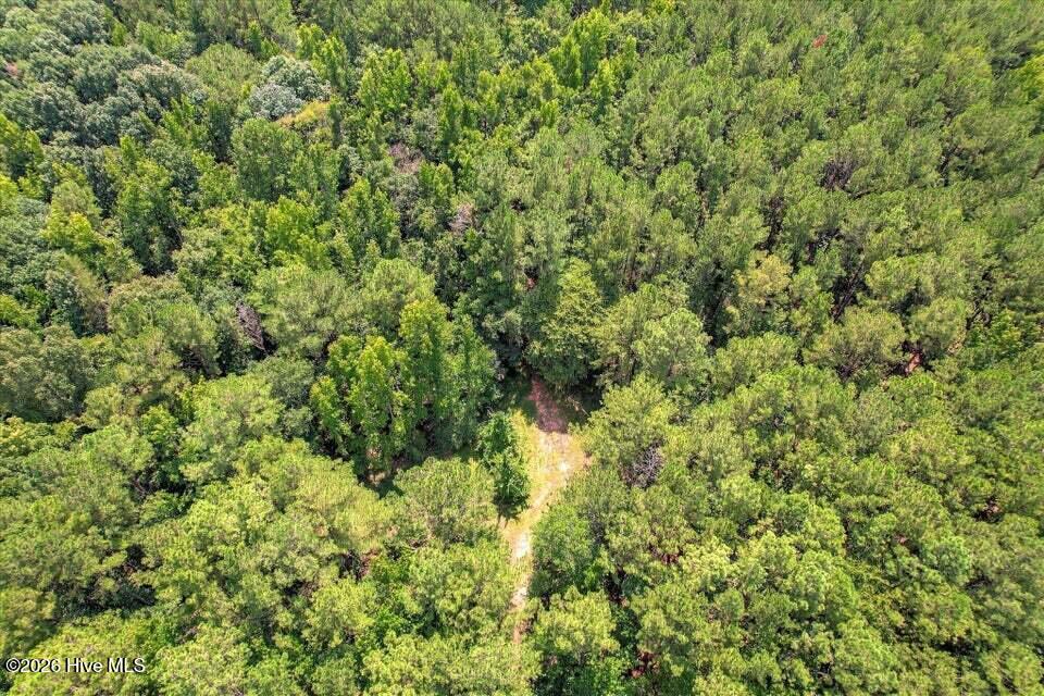 157 Promised Land Road Property Photo 21