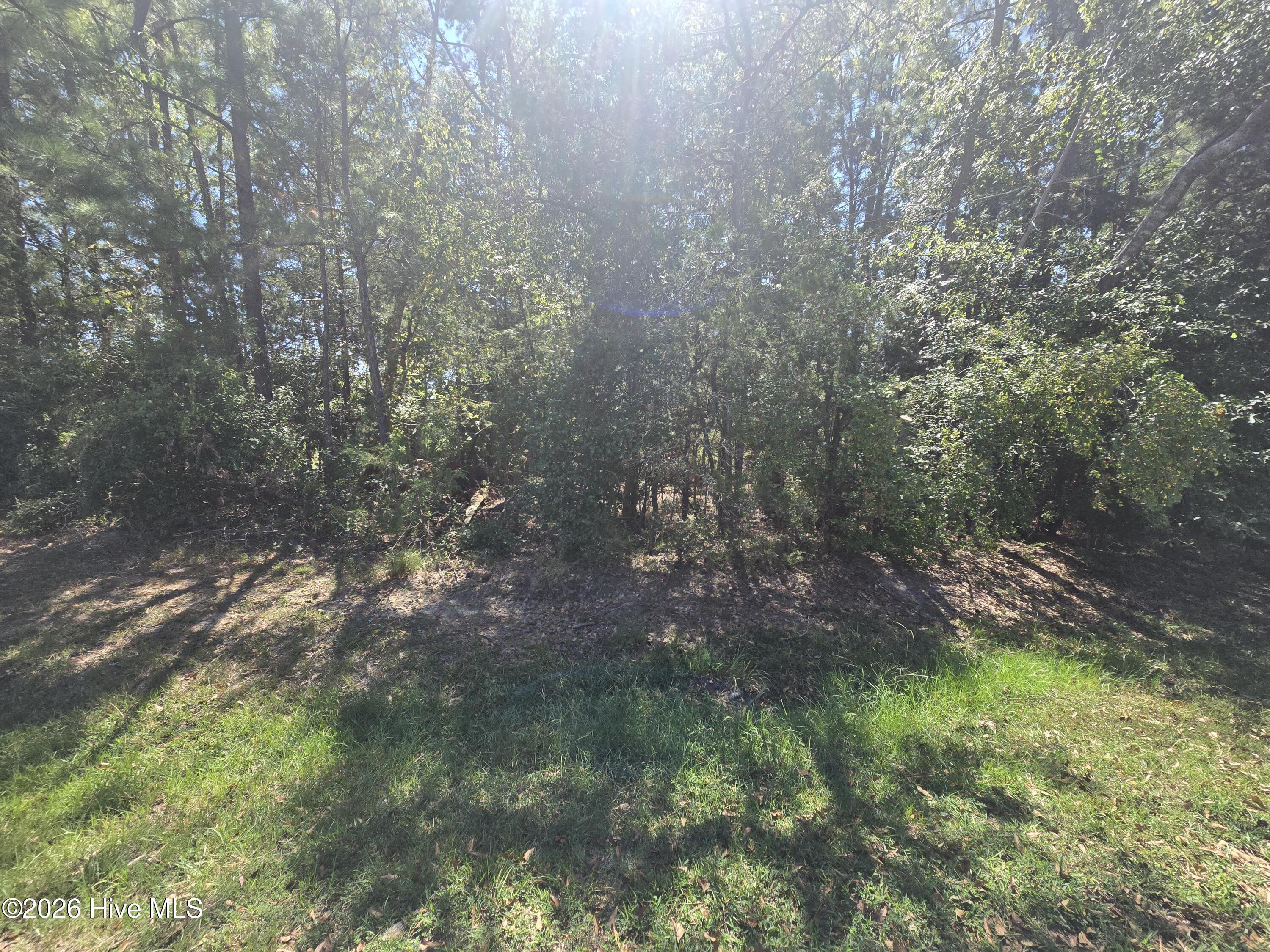 Lot 9 9 Player Lane Property Photo 9