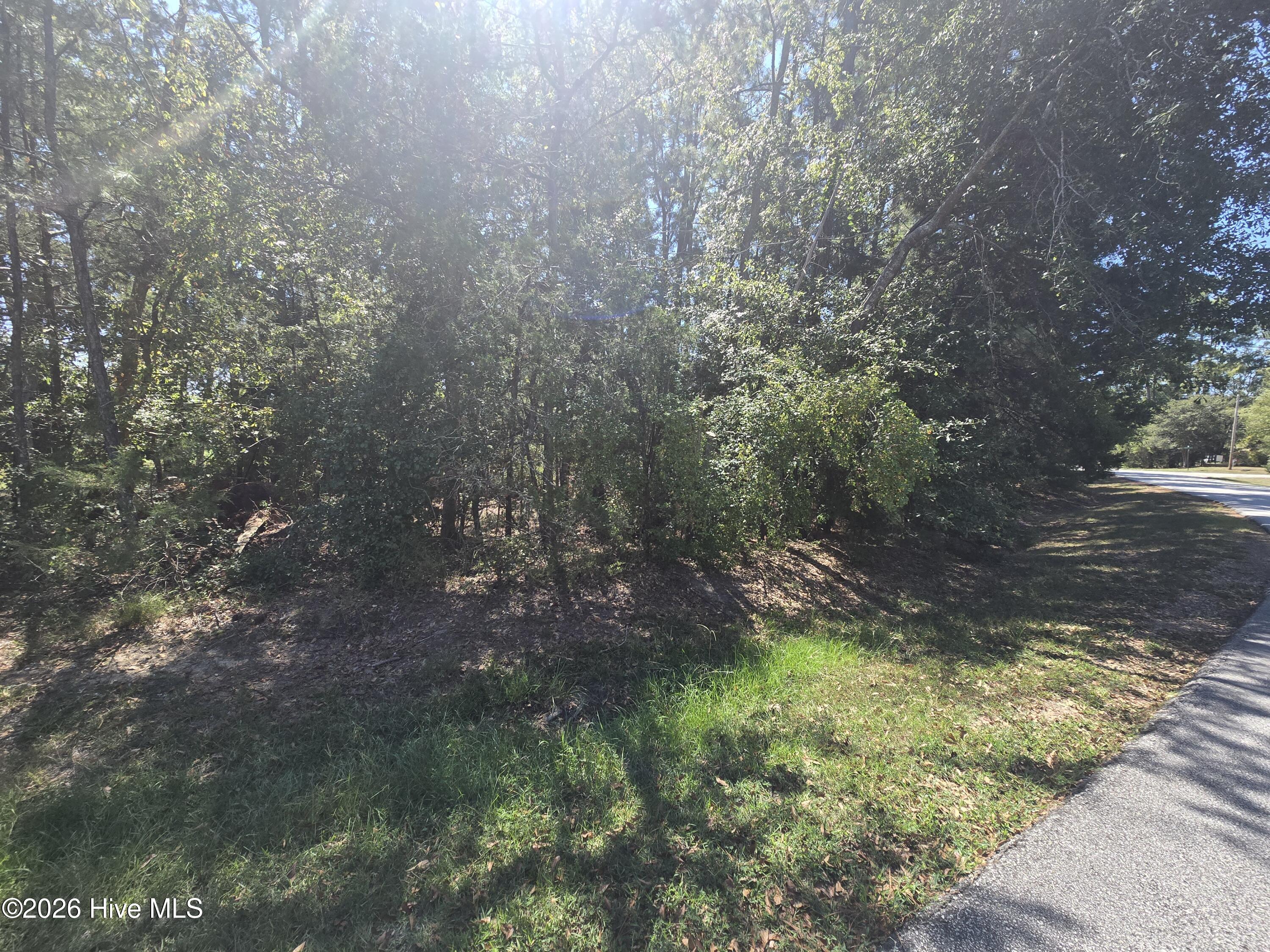 Lot 9 9 Player Lane Property Photo 11