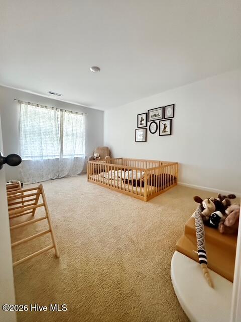 1095 Shoreline Drive Property Photo 19