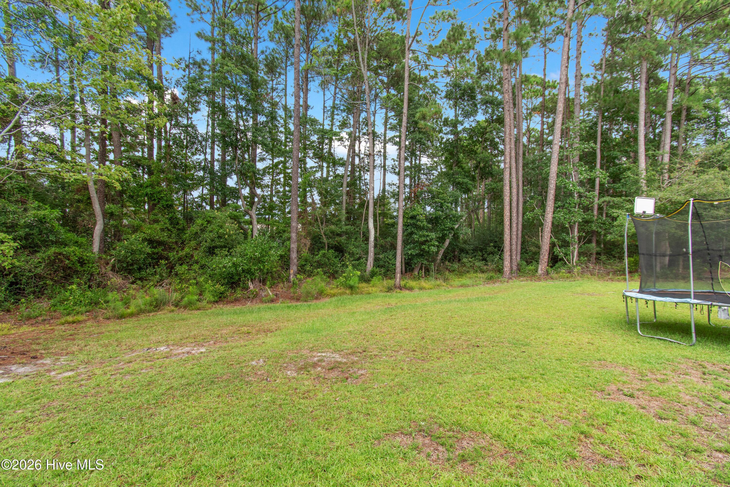 709 E Pipers Glen Property Photo 34