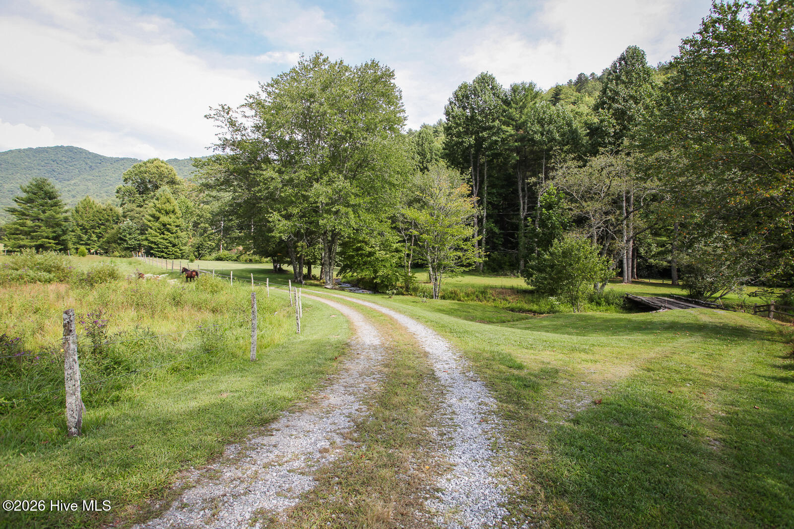 1056 Franks Creek Road Property Photo 88