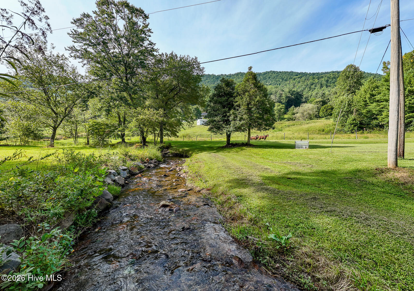 1056 Franks Creek Road Property Photo 91