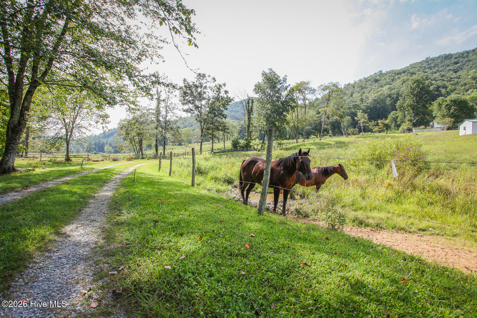 1056 Franks Creek Road Property Photo 93